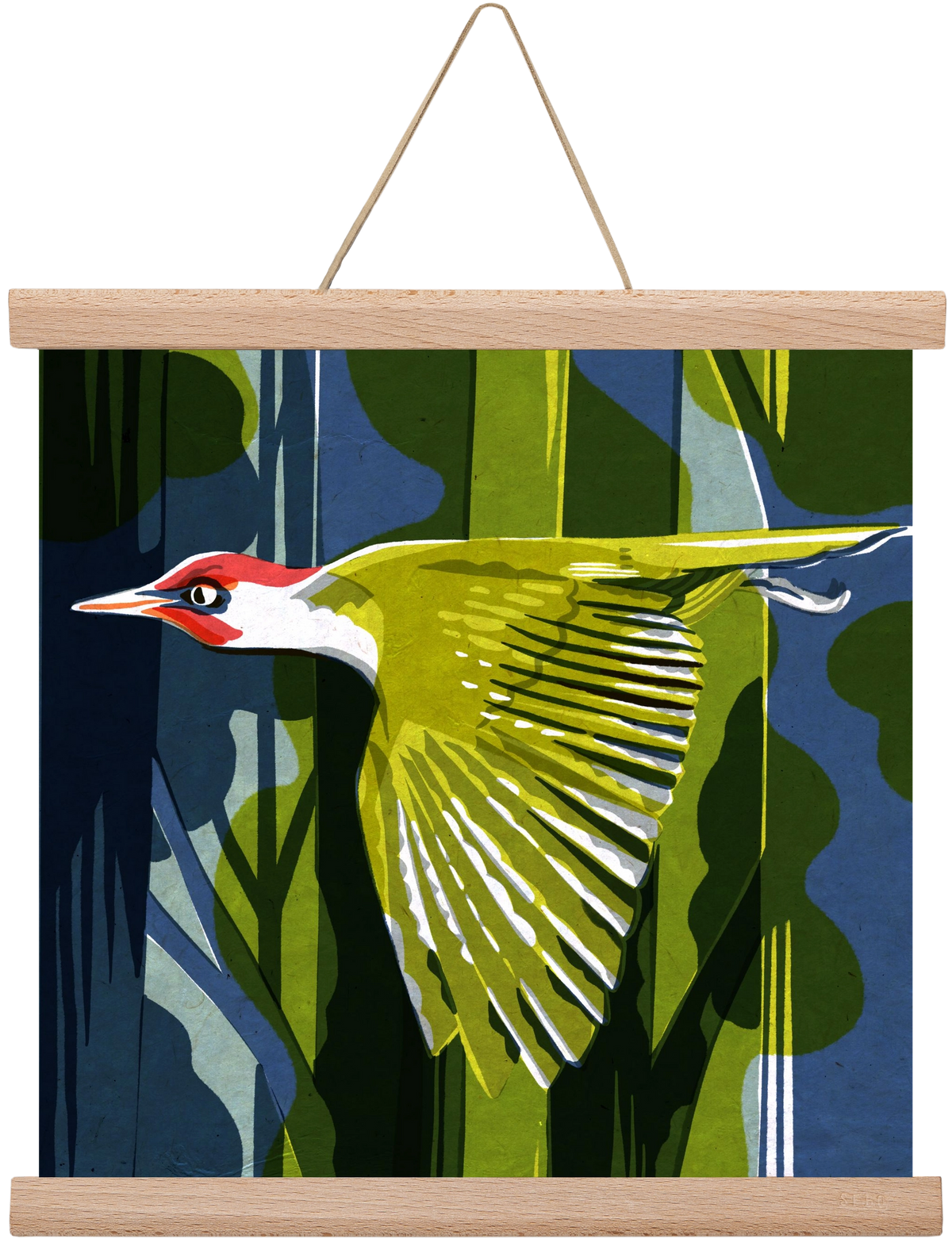 Zöld harkály, 30x30 cm (30x30 cm), Tölgy akasztó