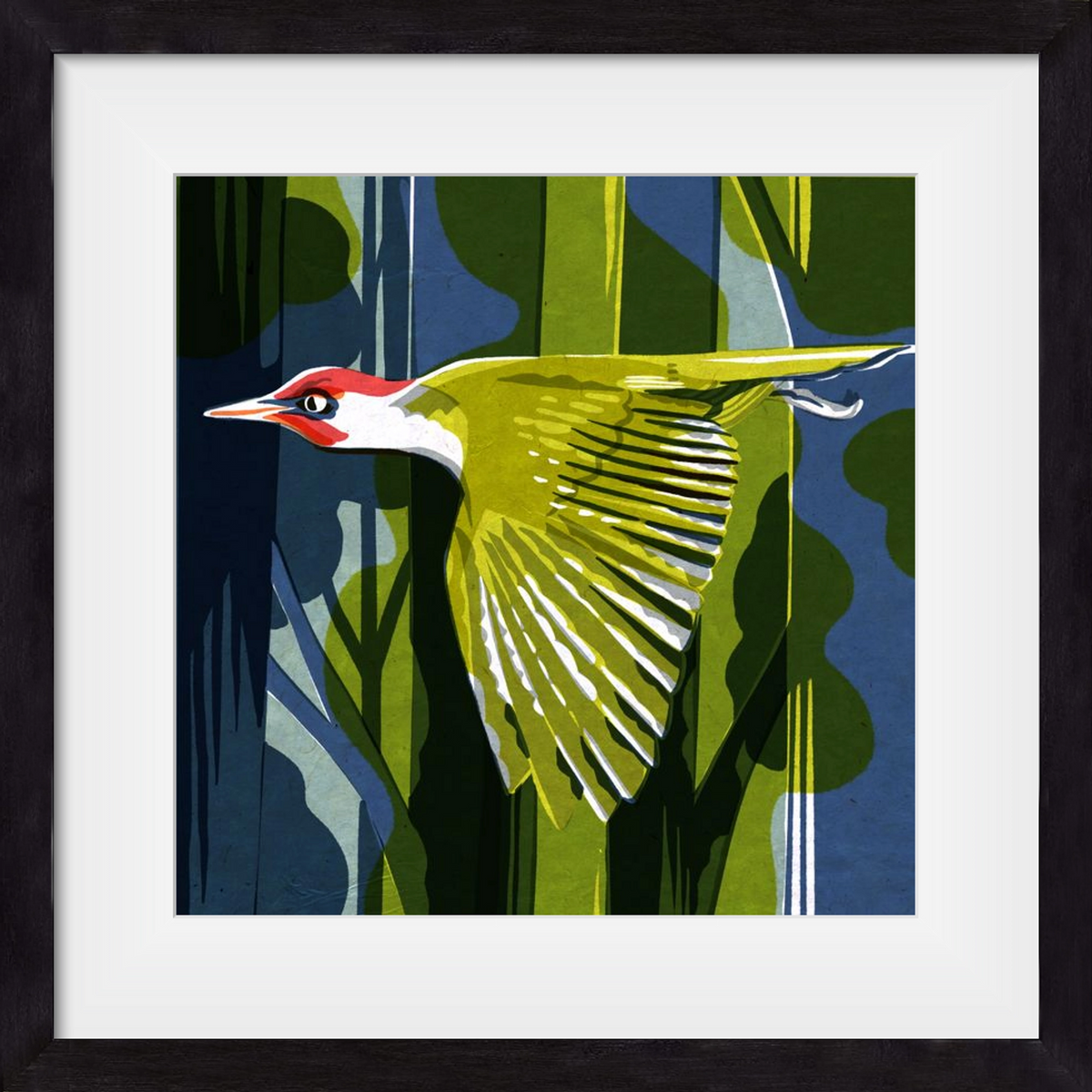 Zöld harkály, 50x50 cm (40x40 cm), Fekete keret, paszpartuval