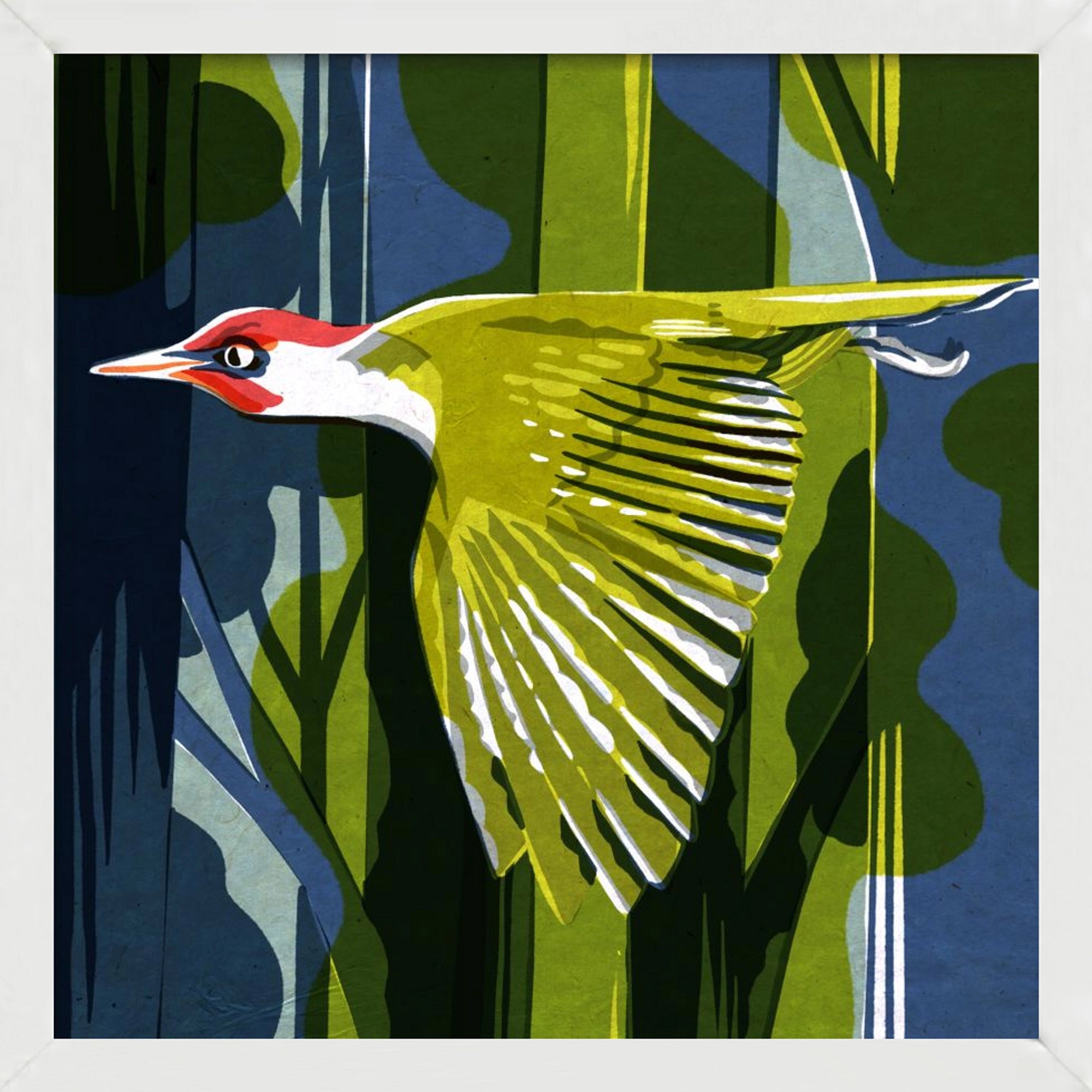 Zöld harkály, 50x50 cm (50x50 cm), Fehér keret