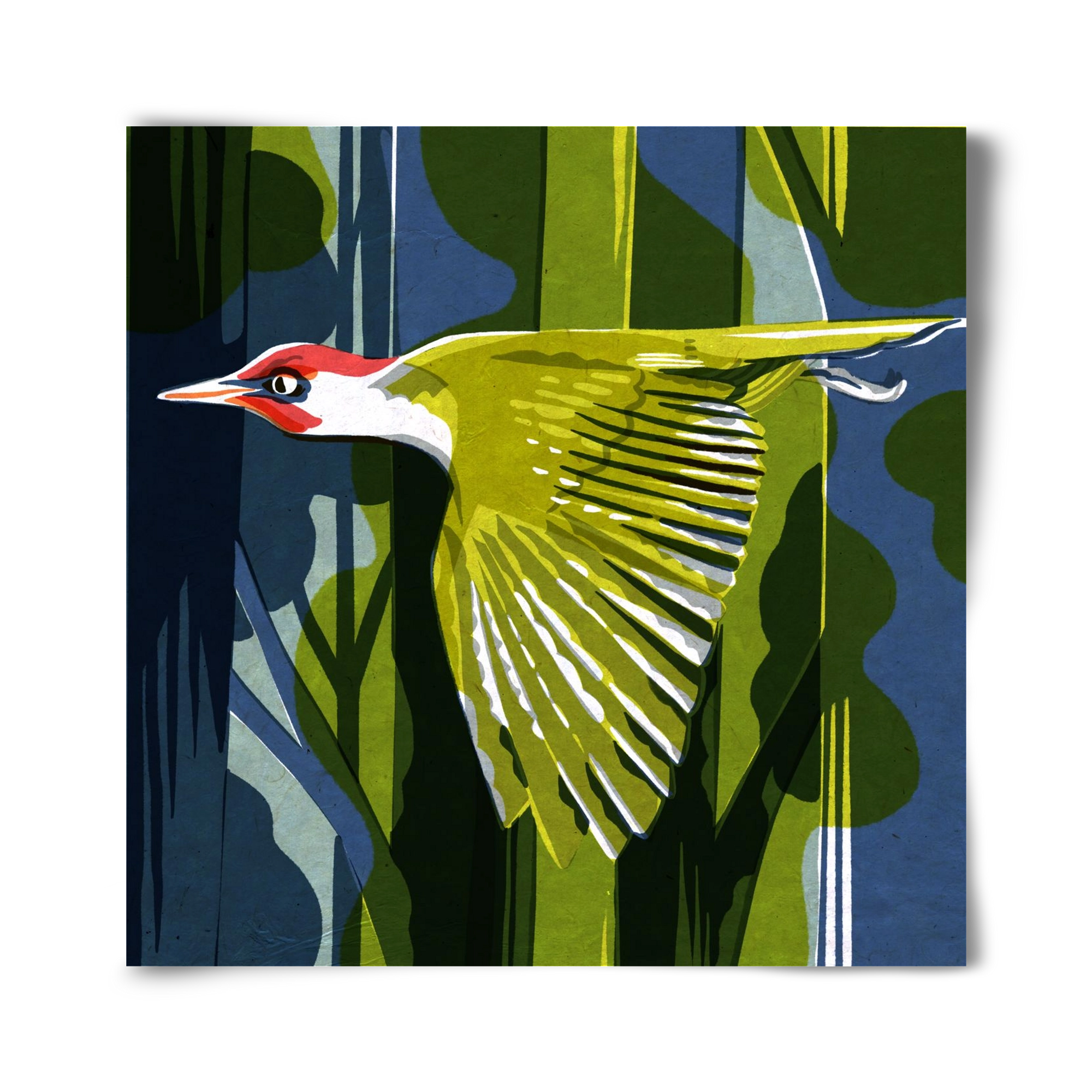 Zöld harkály, 40x40 cm, Keret nélkül