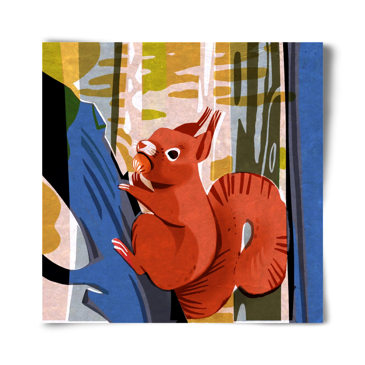 Mókus, 40x40 cm, Keret nélkül