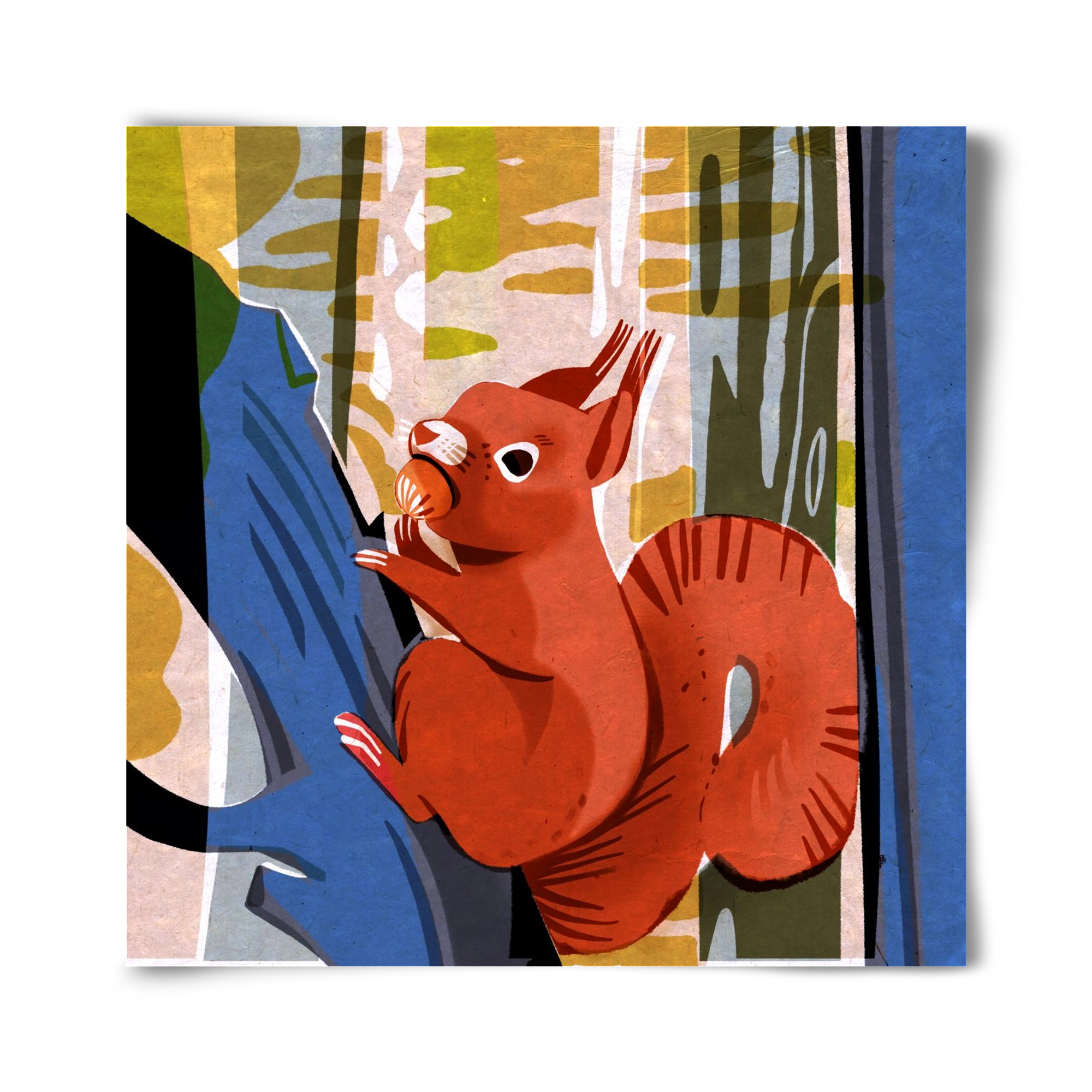 Mókus, 40x40 cm, Keret nélkül