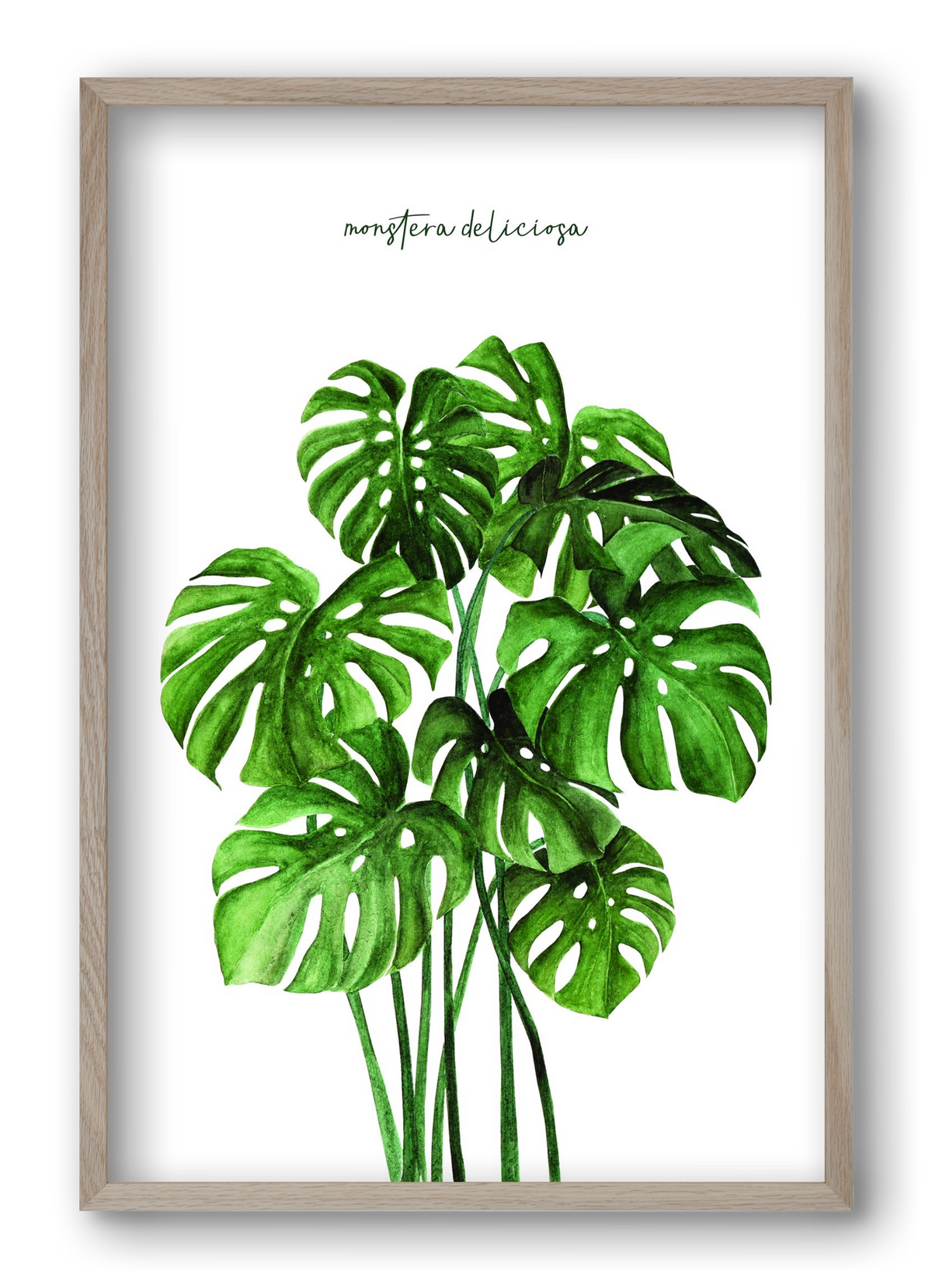 monstera deliciosa, 40x60 cm (40x60 cm), Tölgy keret