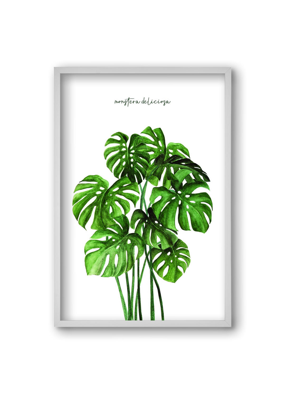 monstera deliciosa, 20x30 cm (20x30 cm), Fehér keret