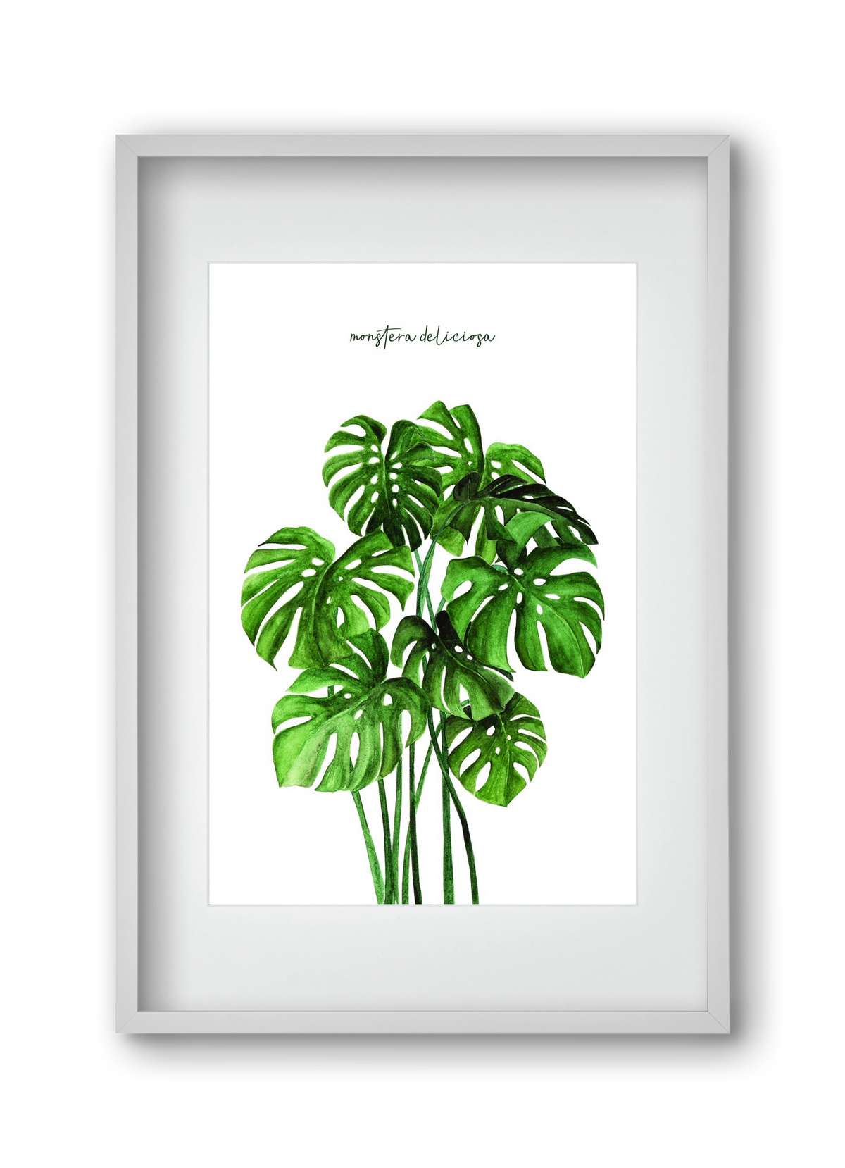 monstera deliciosa, 30x45 cm (20x30 cm), Fehér keret, paszpartuval