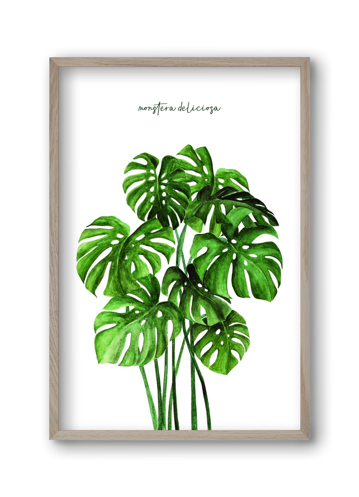 monstera deliciosa, 30x45 cm (30x45 cm), Tölgy keret