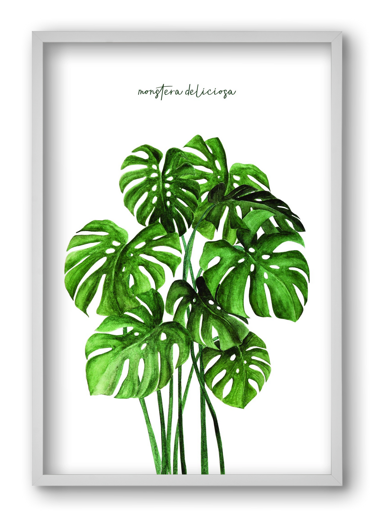 monstera deliciosa, 40x60 cm (40x60 cm), Fehér keret