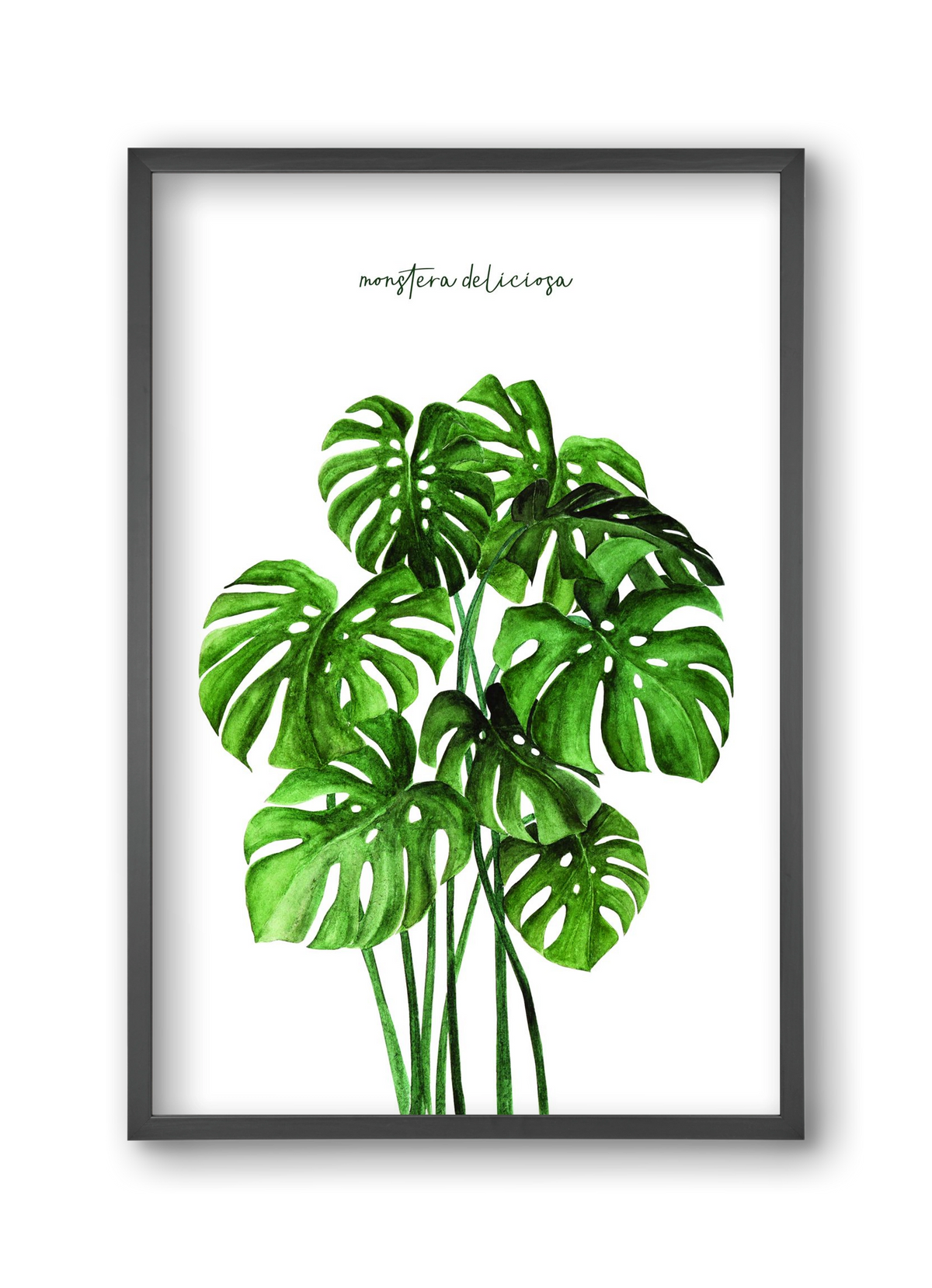 monstera deliciosa, 30x45 cm (30x45 cm), Fekete keret