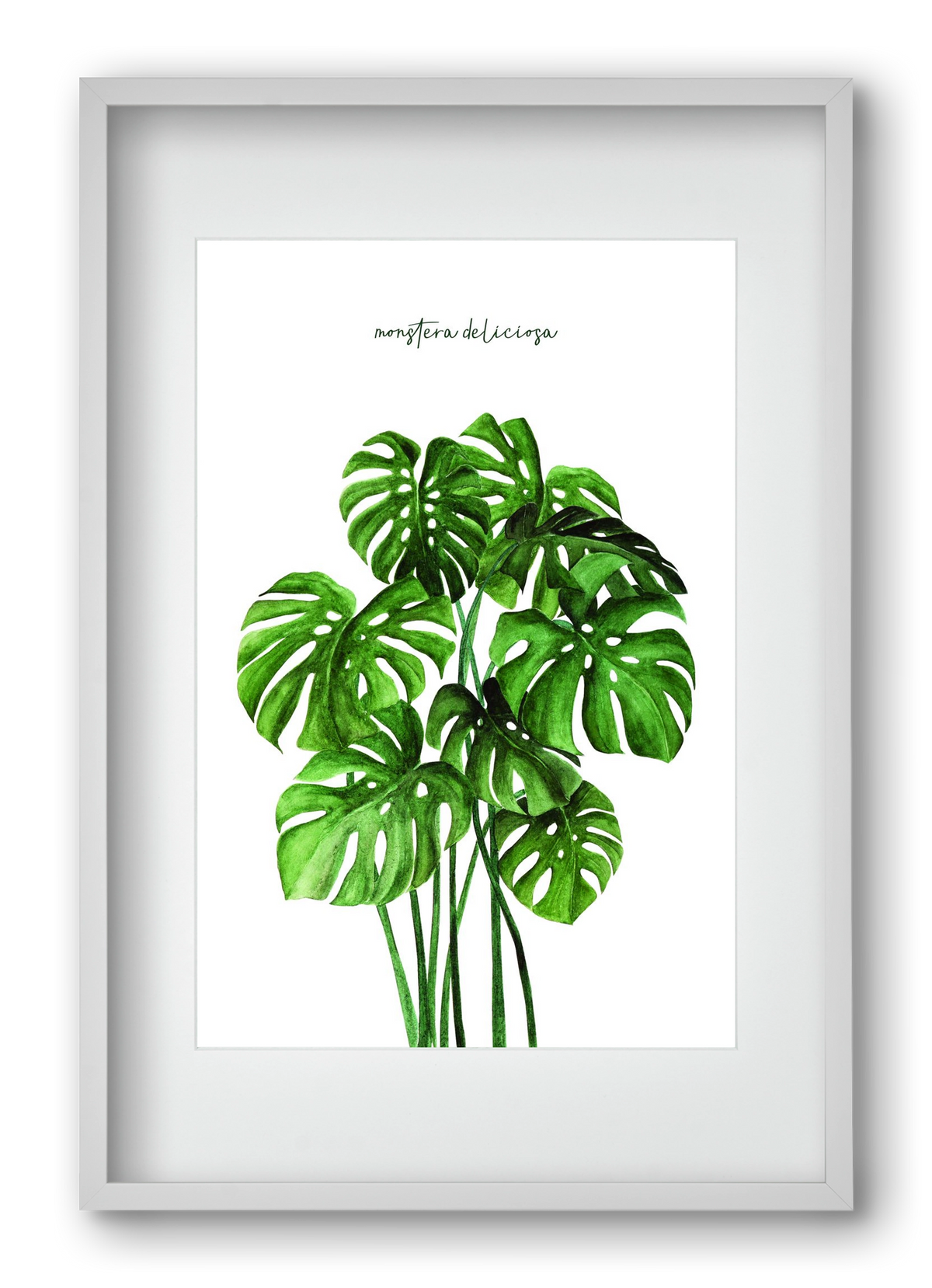monstera deliciosa, 40x60 cm (30x45 cm), Fehér keret, paszpartuval