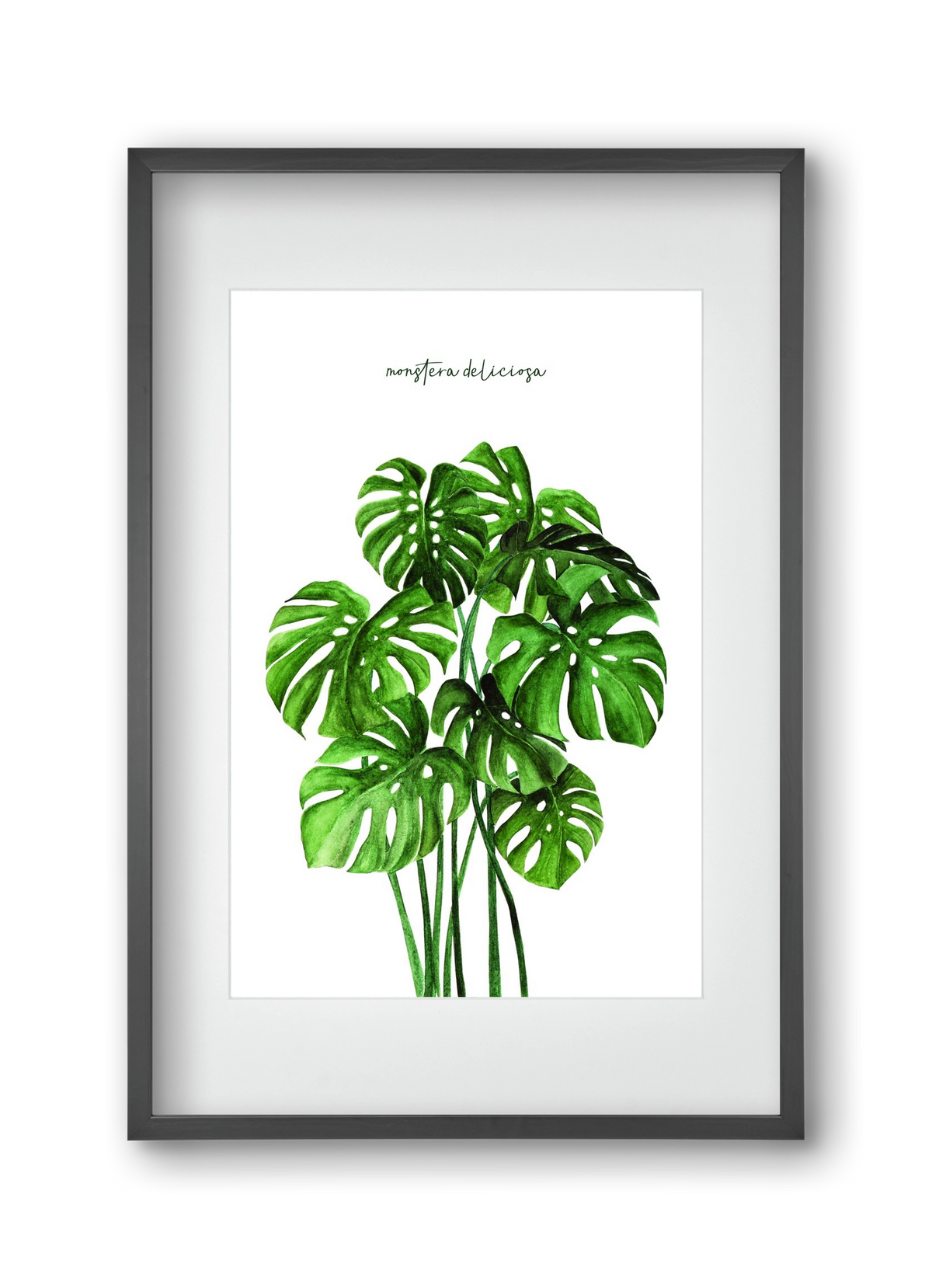 monstera deliciosa, 30x45 cm (20x30 cm), Fekete keret, paszpartuval
