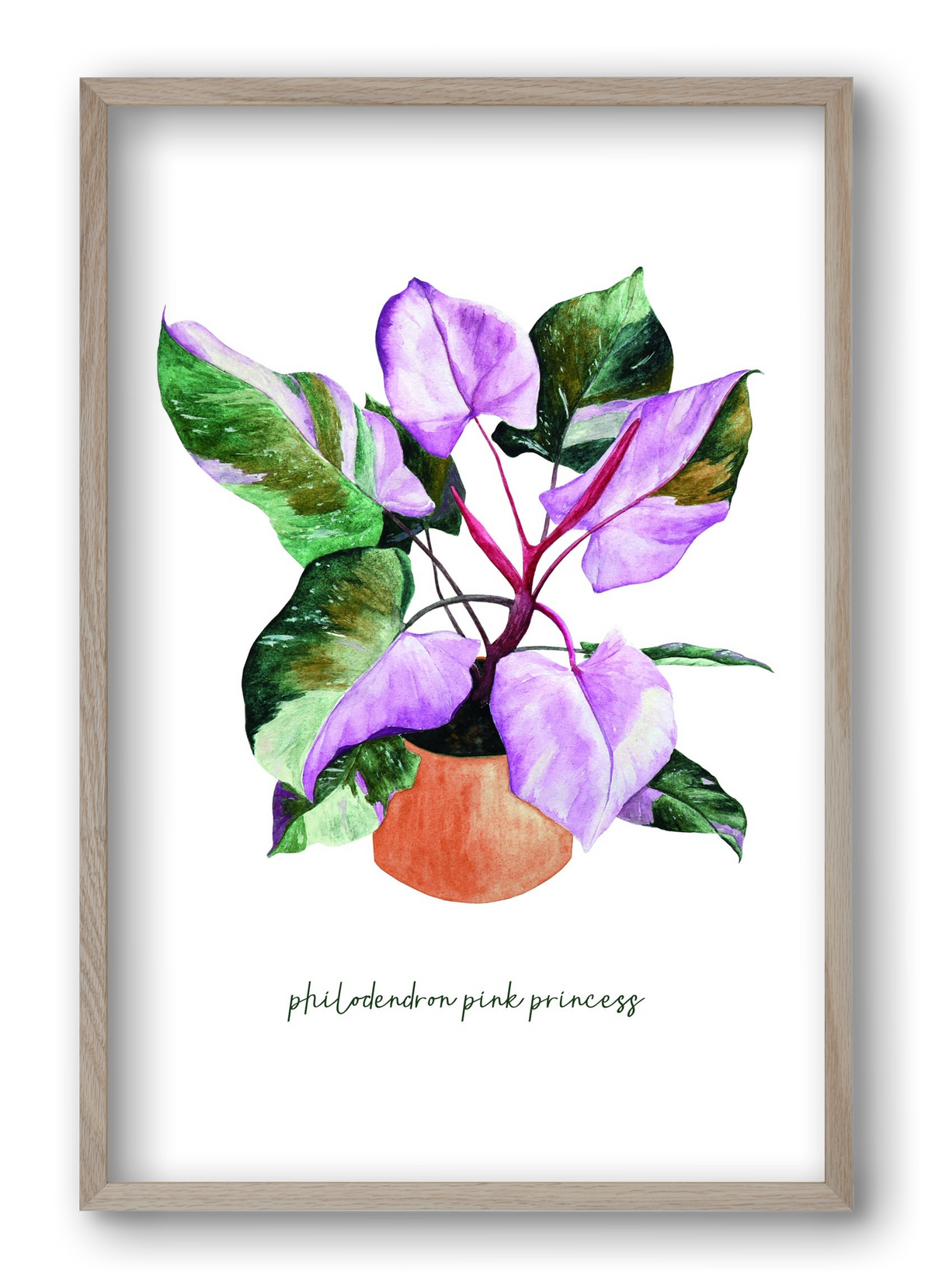 philodendron pink princess, 40x60 cm (40x60 cm), Tölgy keret