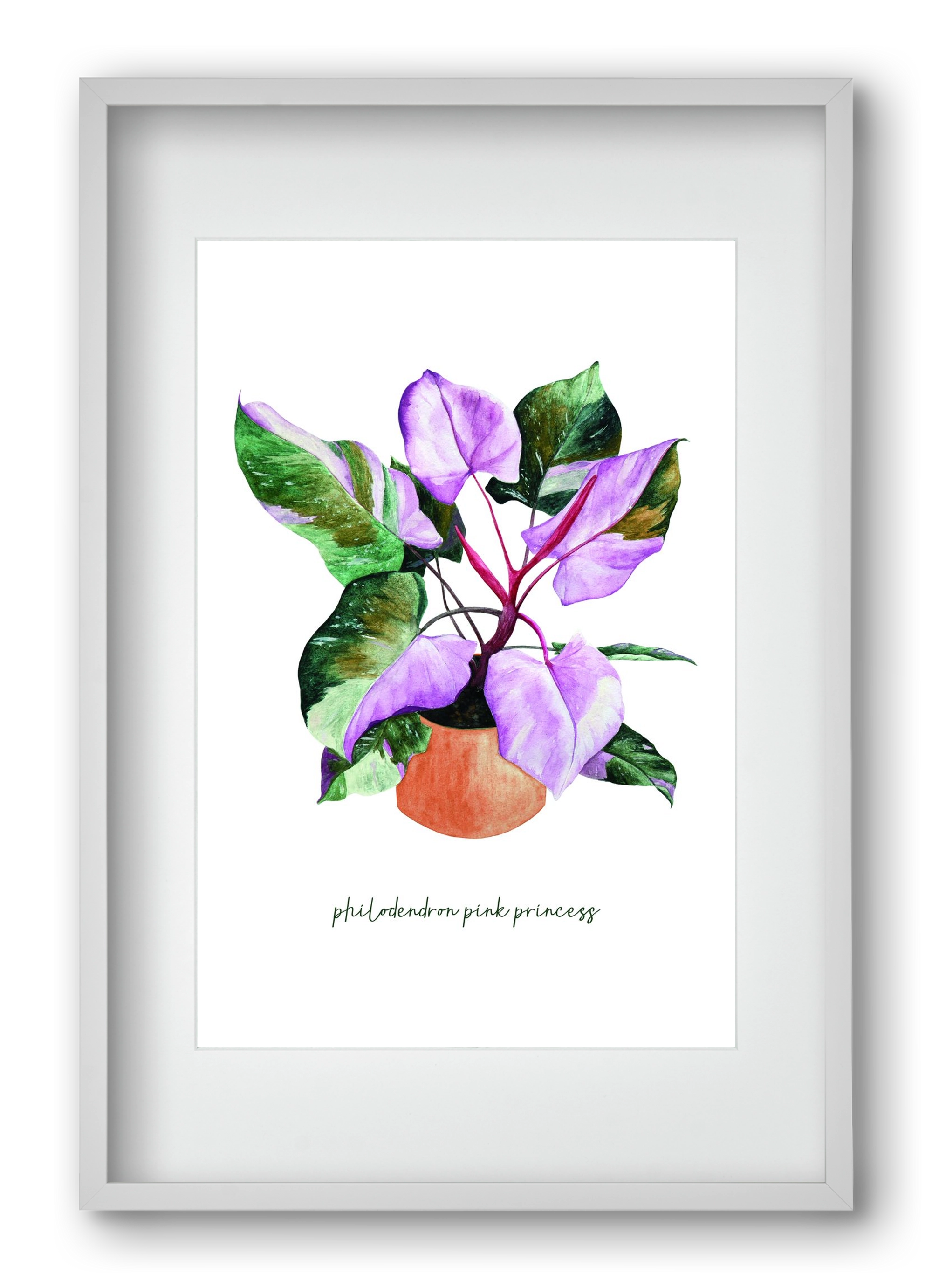 philodendron pink princess, 40x60 cm (30x45 cm), Fehér keret, paszpartuval