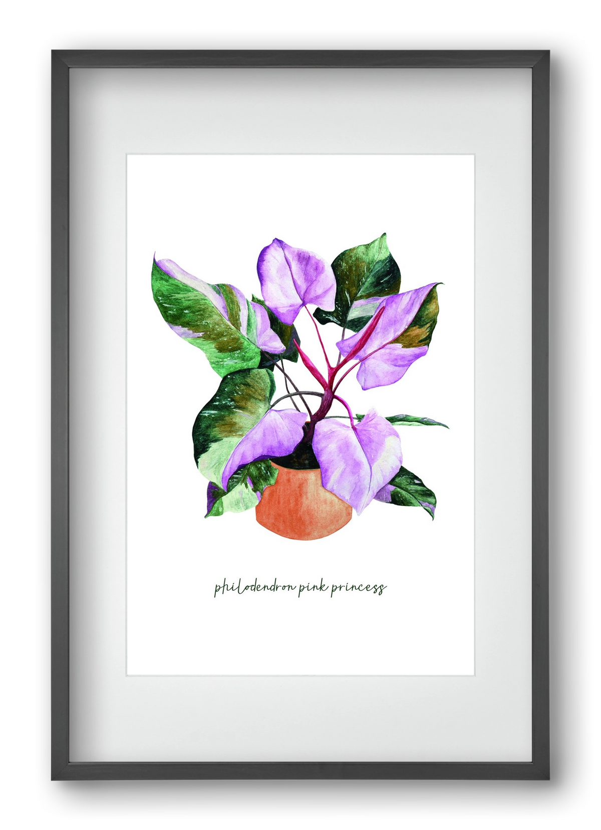 philodendron pink princess, 40x60 cm (30x45 cm), Fekete keret, paszpartuval