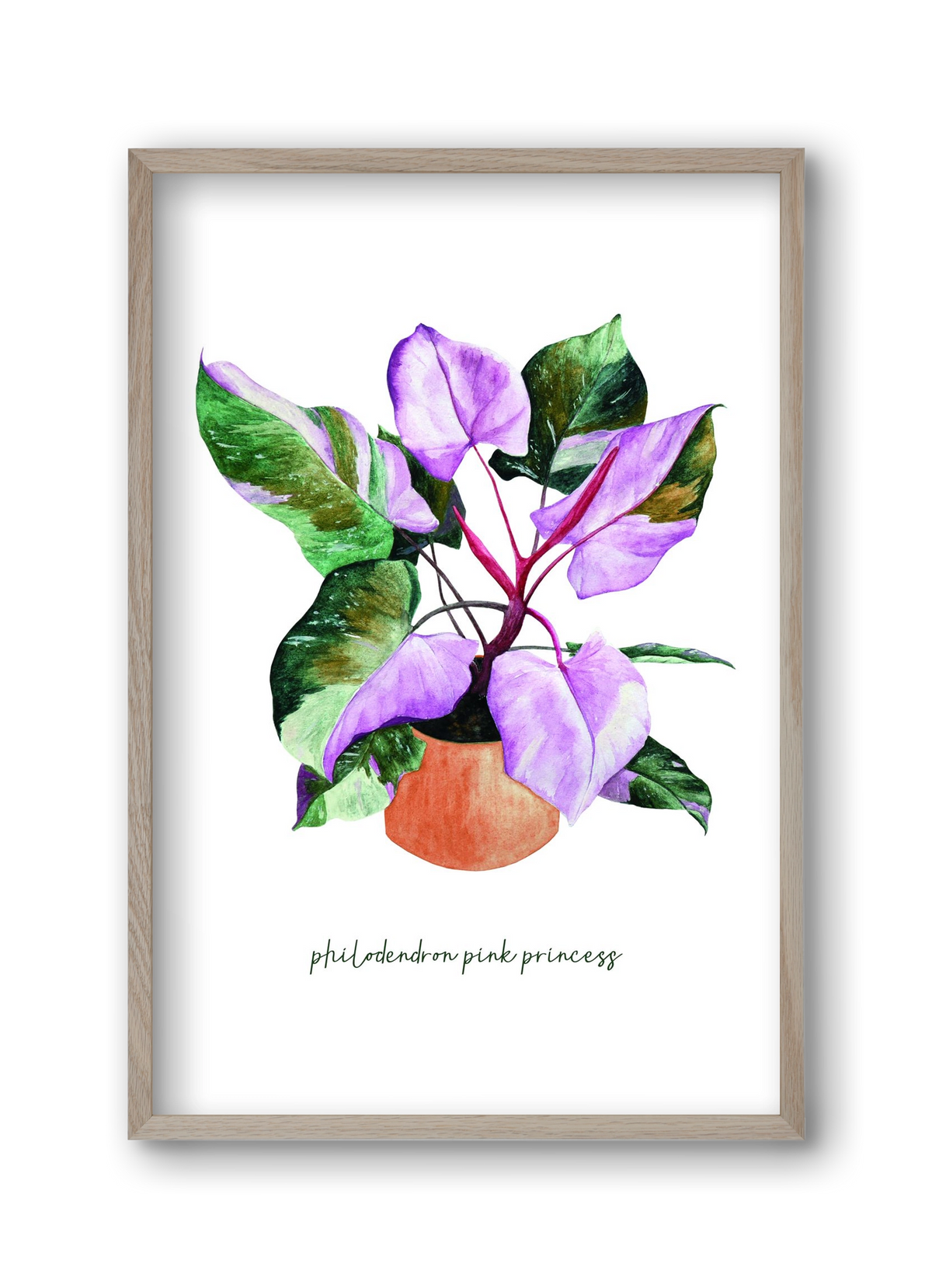 philodendron pink princess, 30x45 cm (30x45 cm), Tölgy keret
