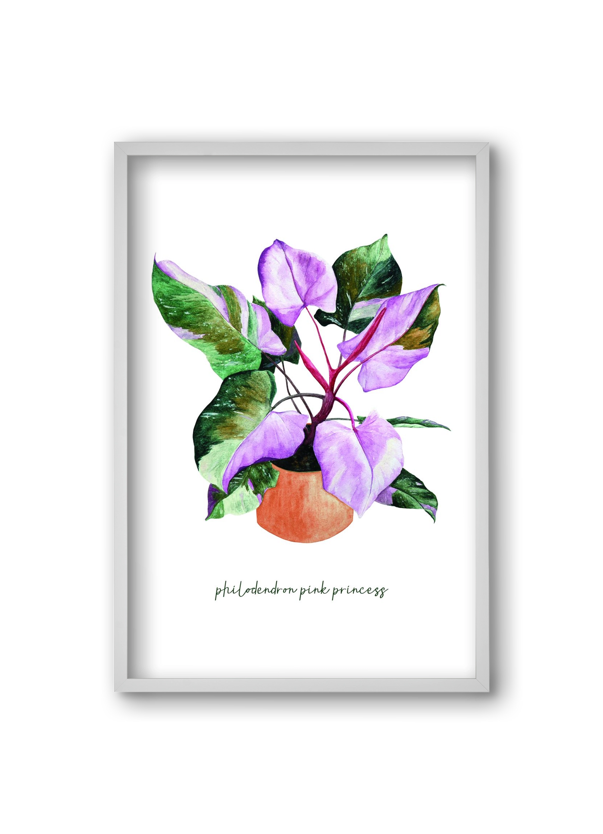 philodendron pink princess, 20x30 cm (20x30 cm), Fehér keret