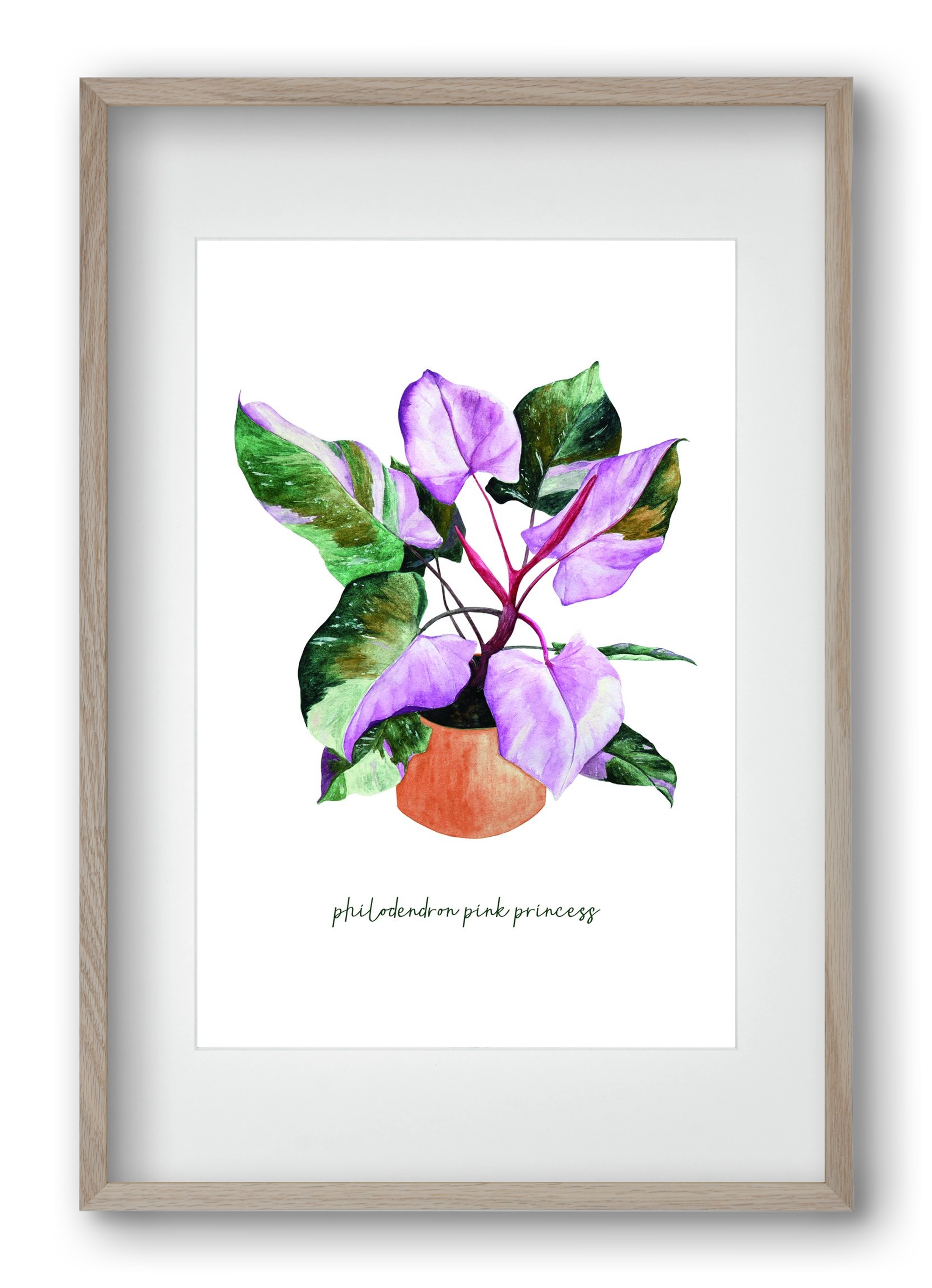 philodendron pink princess, 40x60 cm (30x45 cm), Tölgy keret, paszpartuval