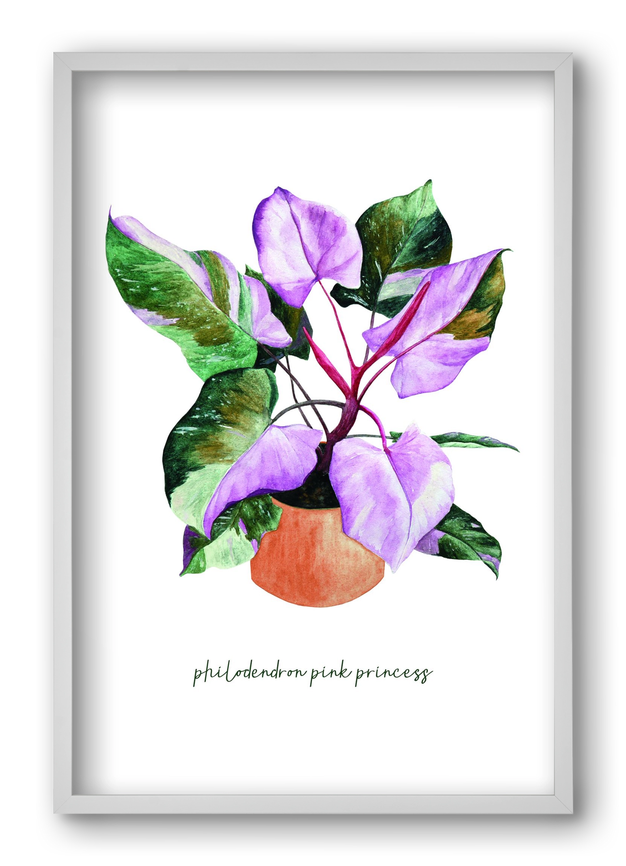 philodendron pink princess, 40x60 cm (40x60 cm), Fehér keret