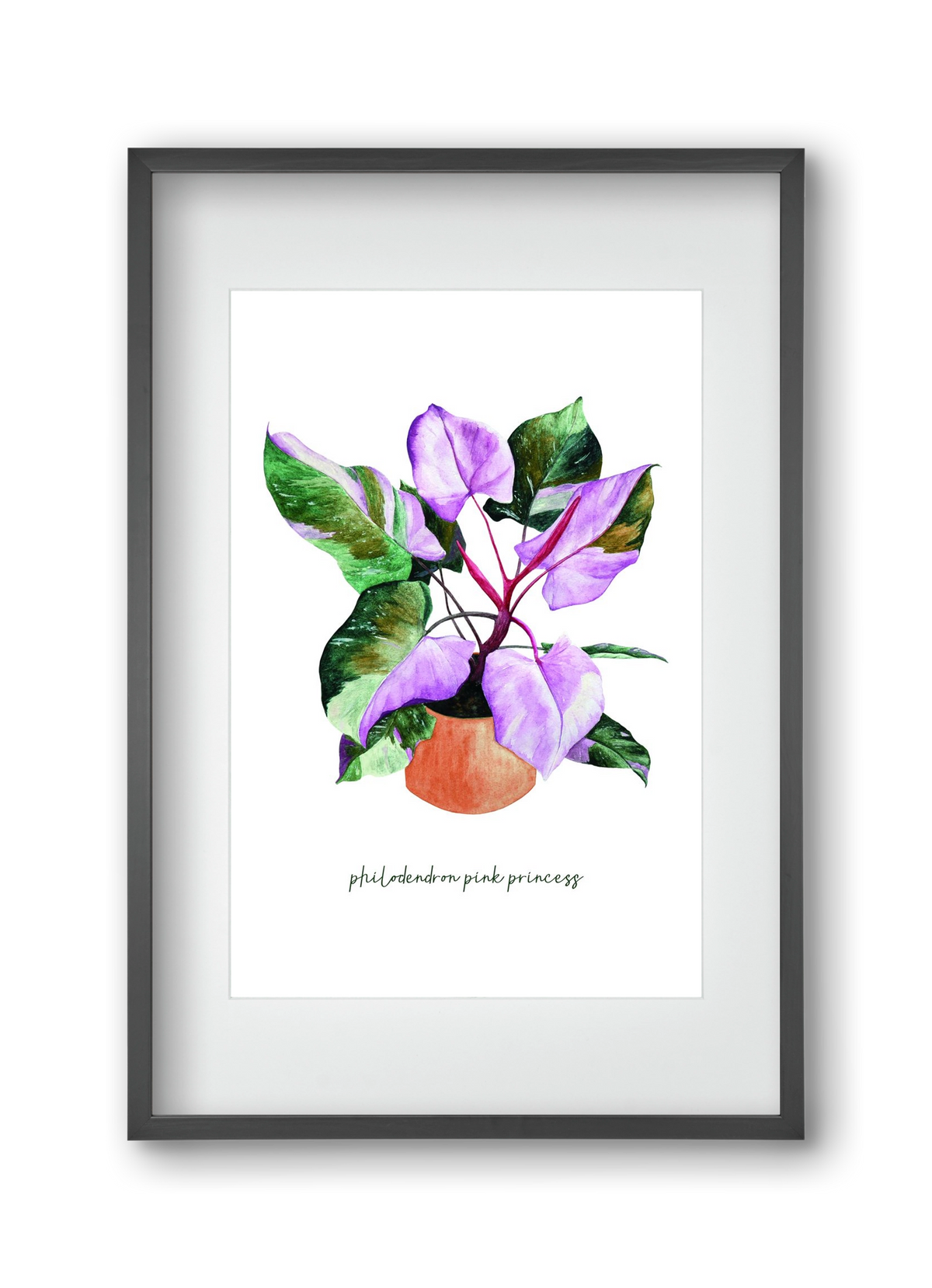 philodendron pink princess, 30x45 cm (20x30 cm), Fekete keret, paszpartuval