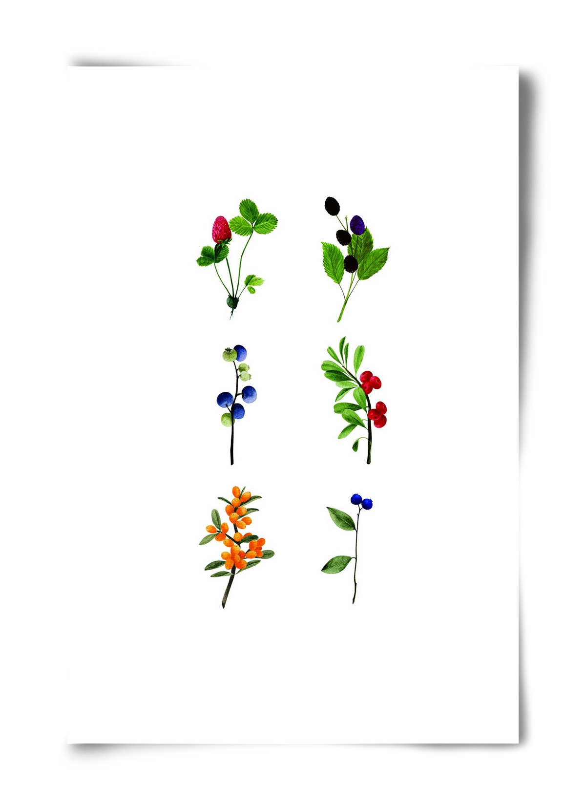 berries, 40x60 cm, Keret nélkül