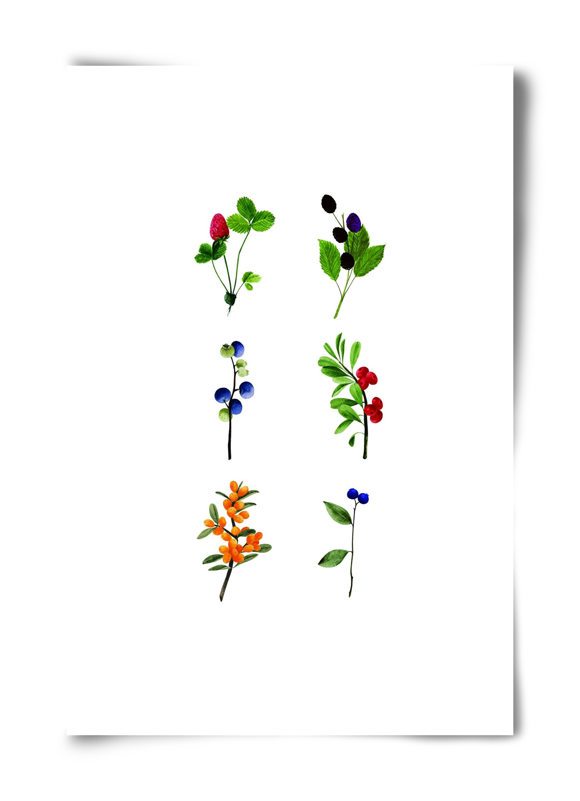 berries, 40x60 cm, Keret nélkül