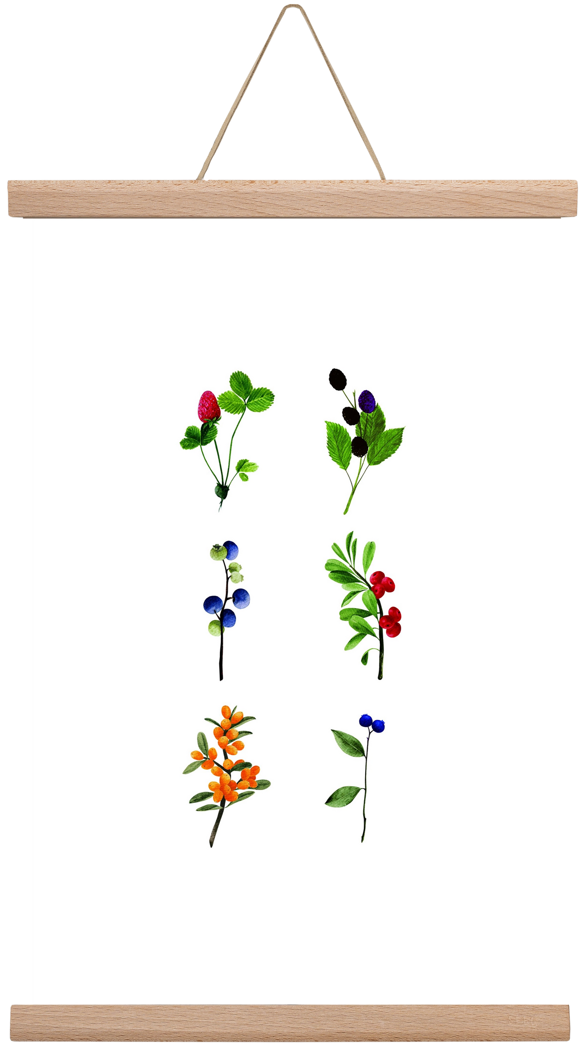 berries, 30x45 cm (30x45 cm), Tölgy akasztó
