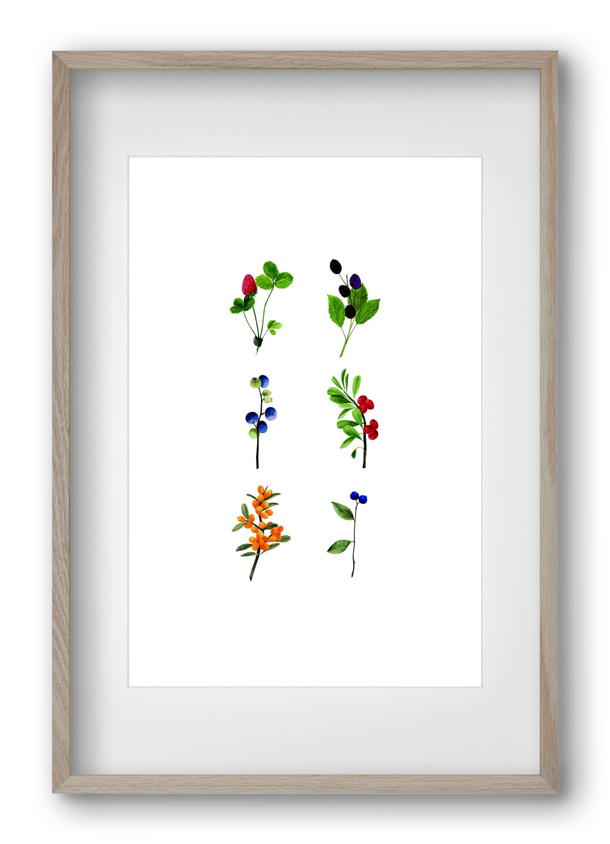 berries, 40x60 cm (30x45 cm), Tölgy keret, paszpartuval