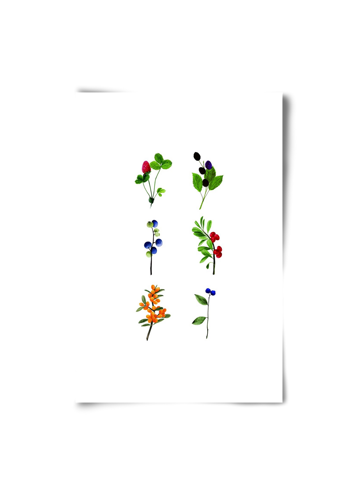 berries, 20x30 cm, Keret nélkül