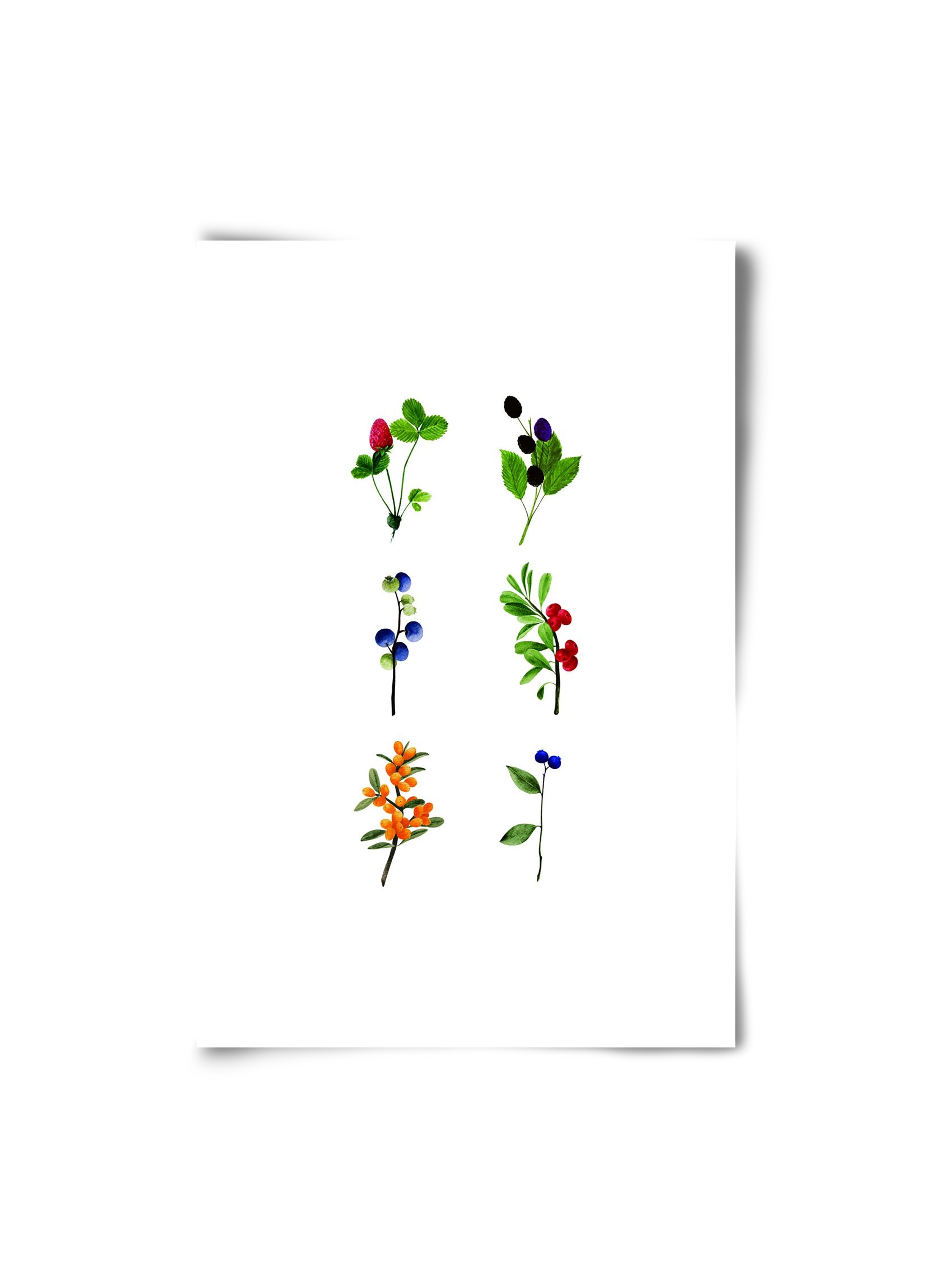 berries, 20x30 cm, Keret nélkül