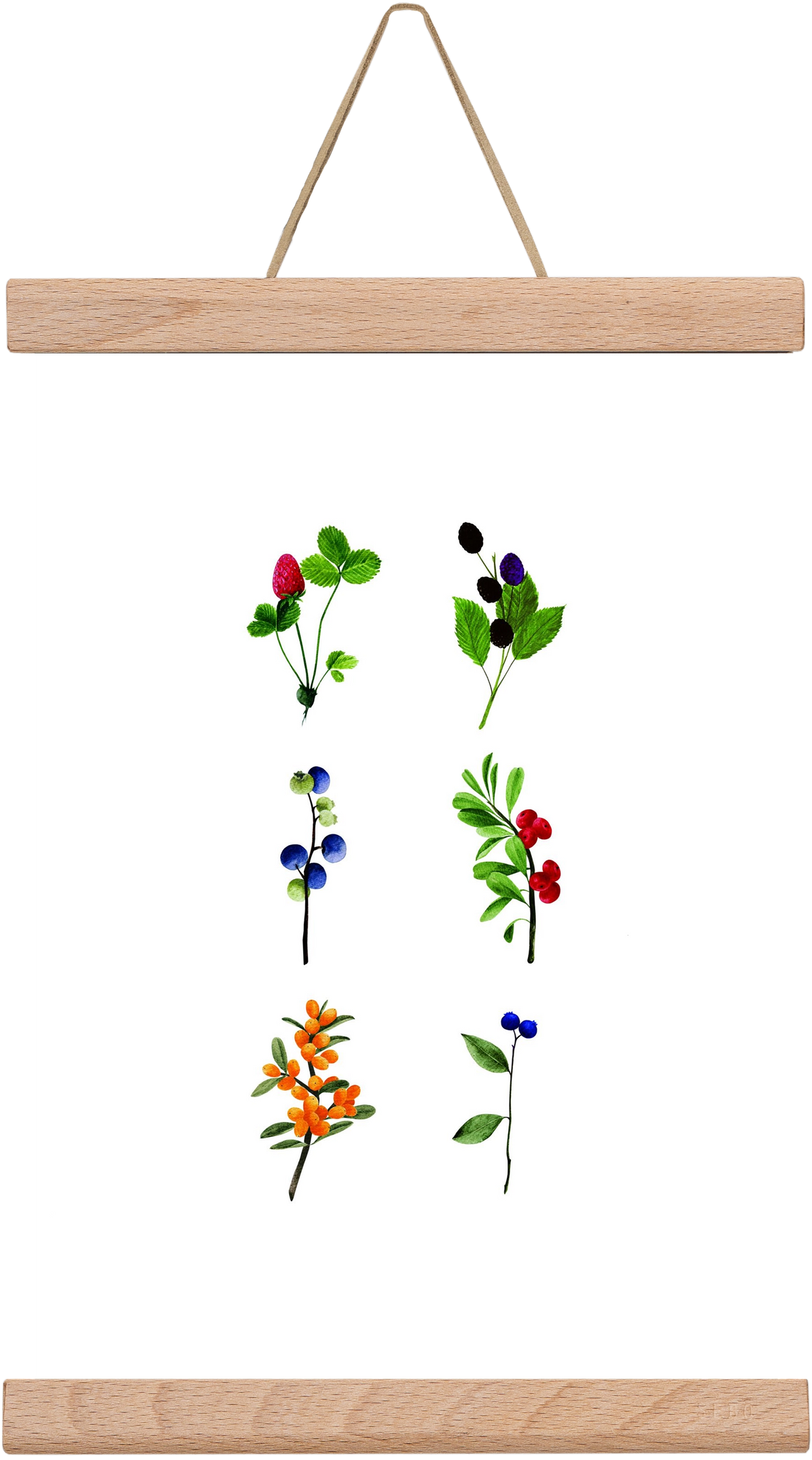 berries, 20x30 cm (20x30 cm), Tölgy akasztó