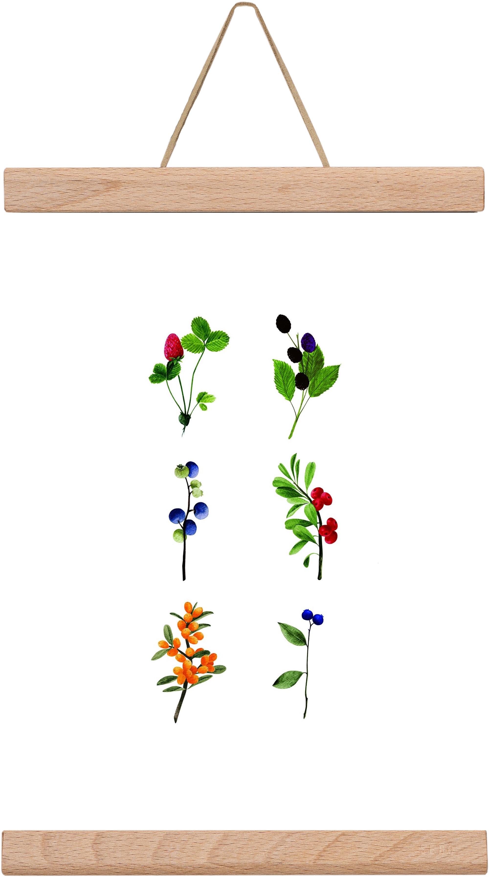 berries, 20x30 cm (20x30 cm), Tölgy akasztó