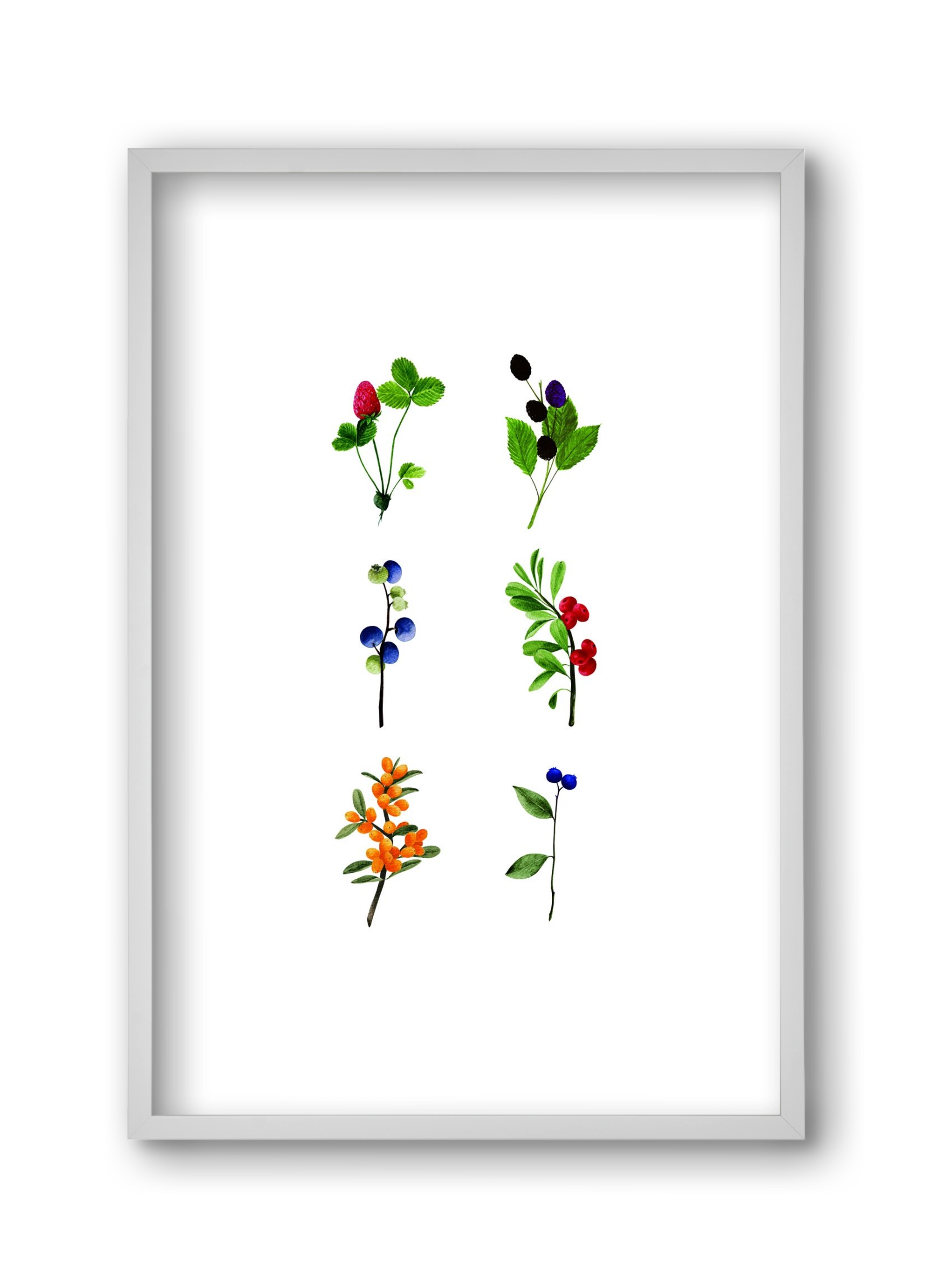 berries, 30x45 cm (30x45 cm), Fehér keret