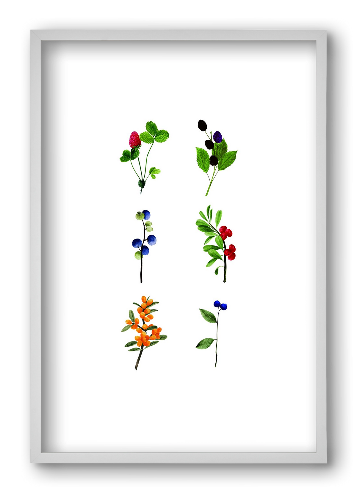 berries, 40x60 cm (40x60 cm), Fehér keret