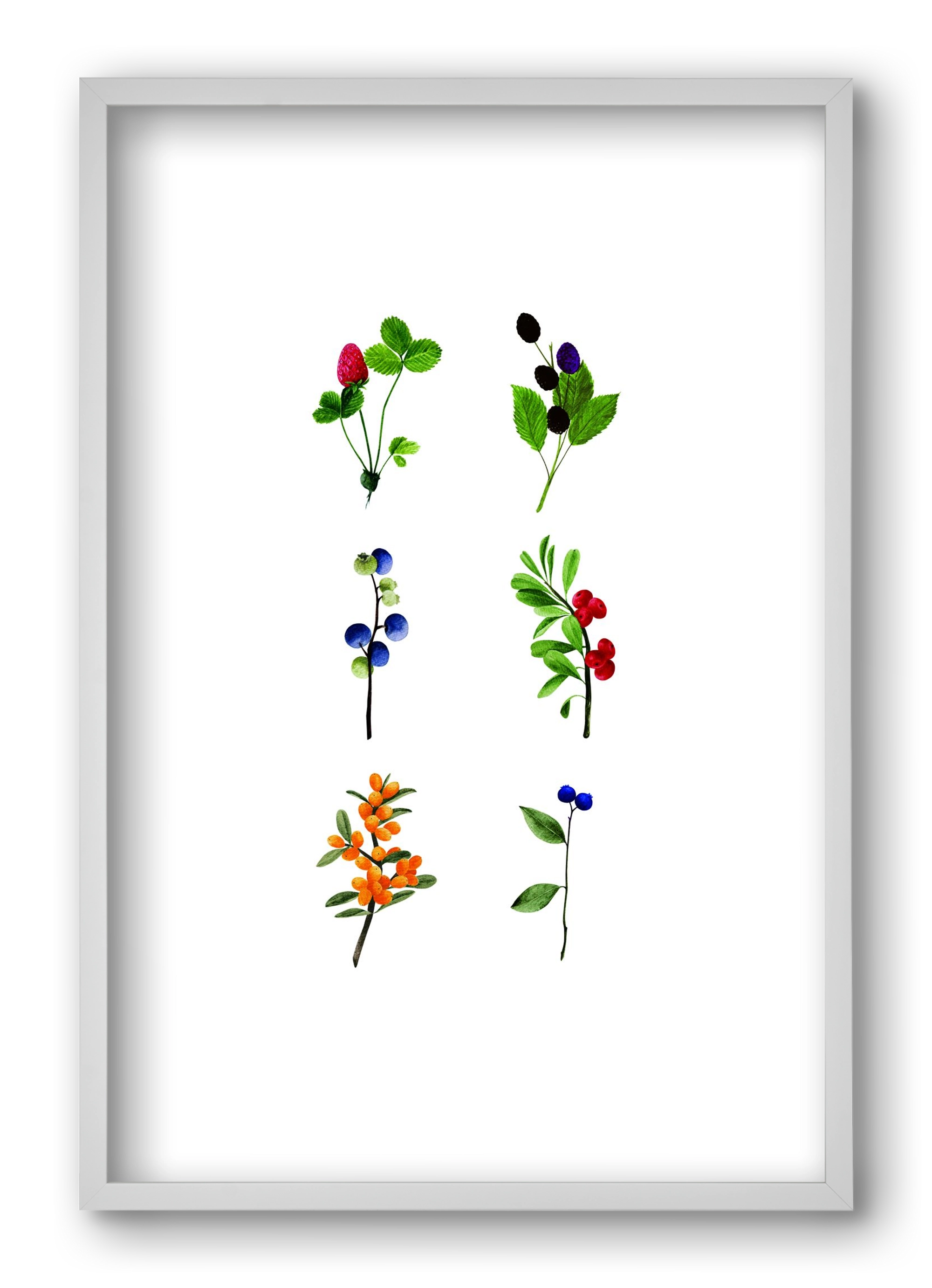 berries, 40x60 cm (40x60 cm), Fehér keret