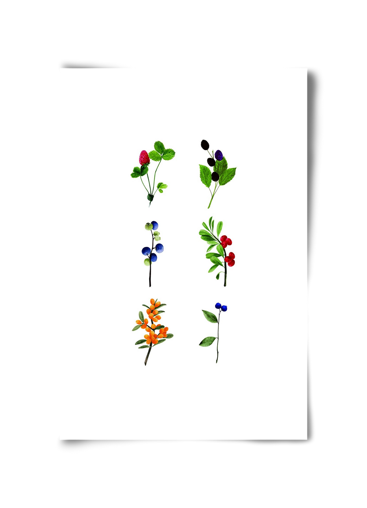 berries, 30x45 cm, Keret nélkül