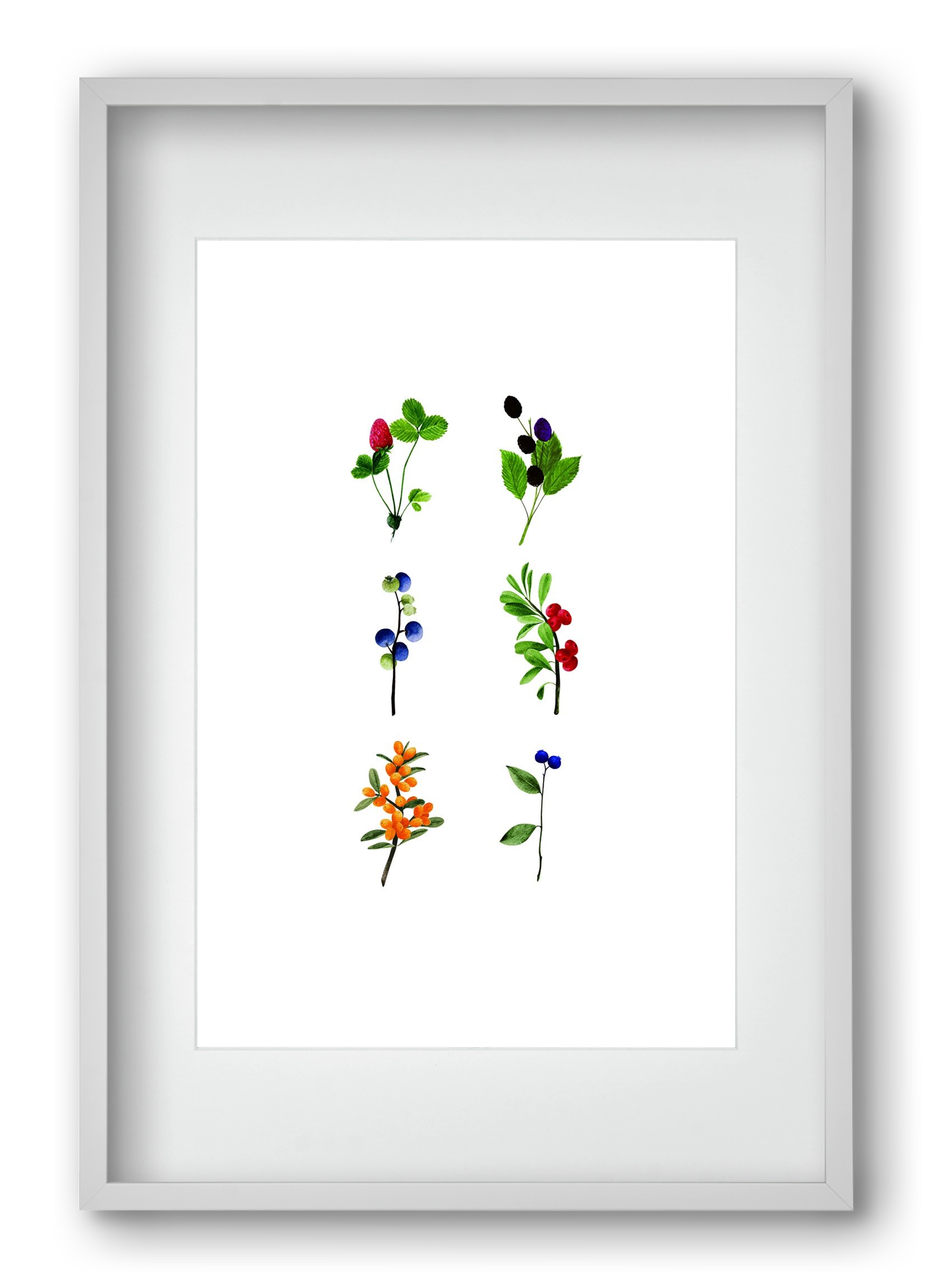 berries, 40x60 cm (30x45 cm), Fehér keret, paszpartuval