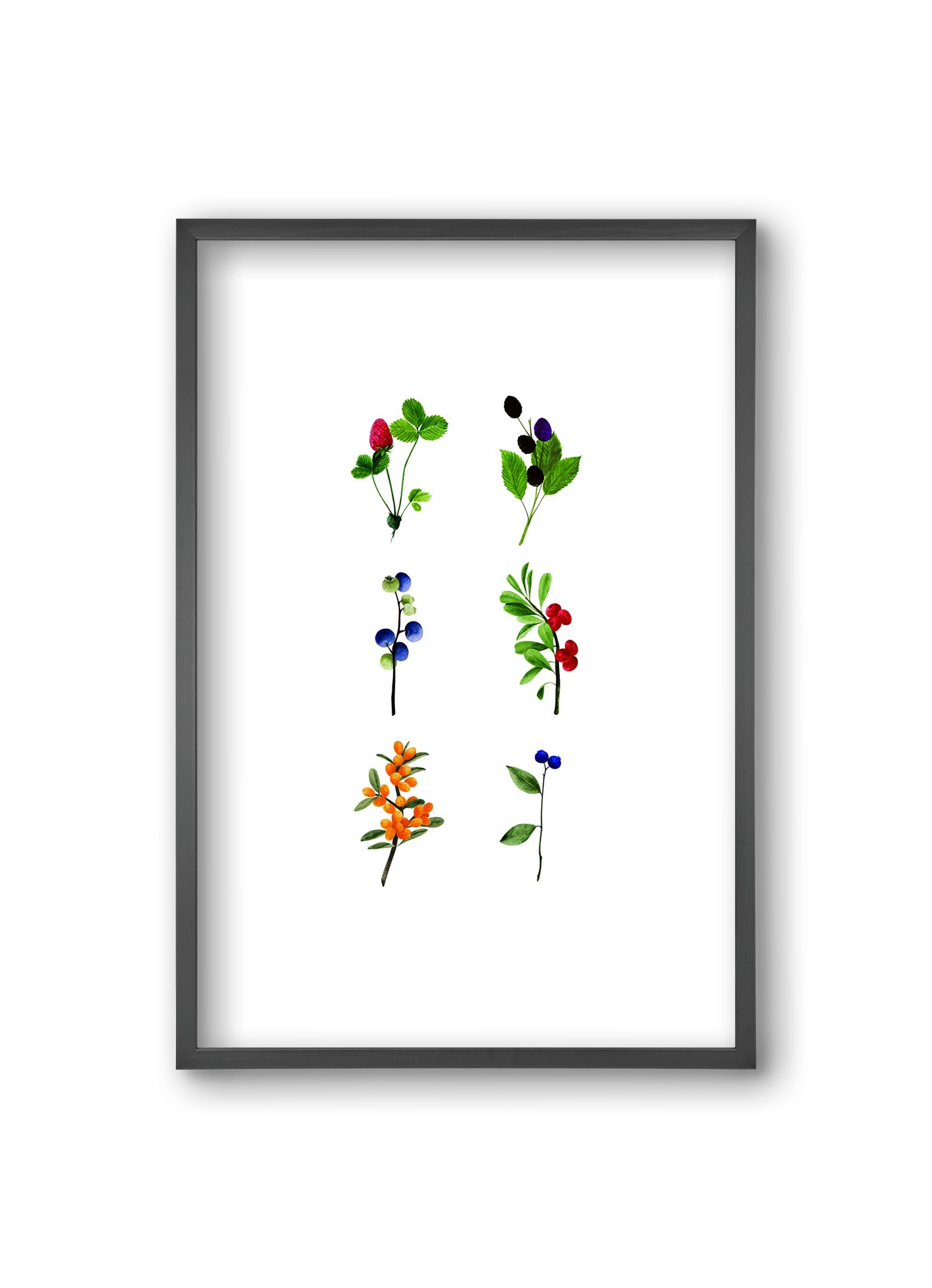 berries, 20x30 cm (20x30 cm), Fekete keret