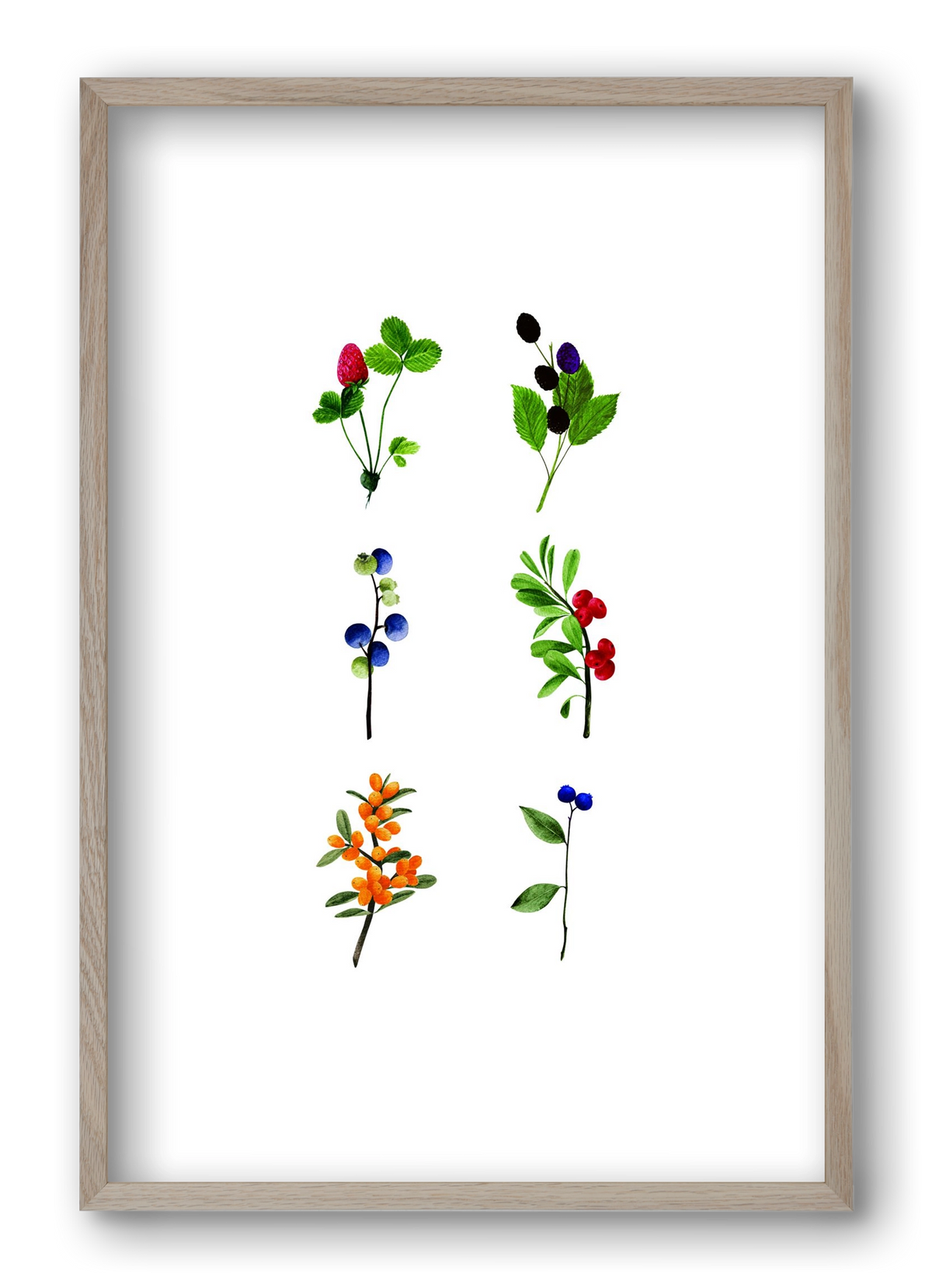 berries, 40x60 cm (40x60 cm), Tölgy keret