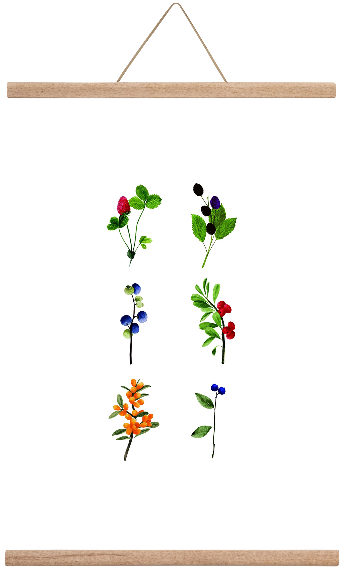 berries, 40x60 cm (40x60 cm), Tölgy akasztó