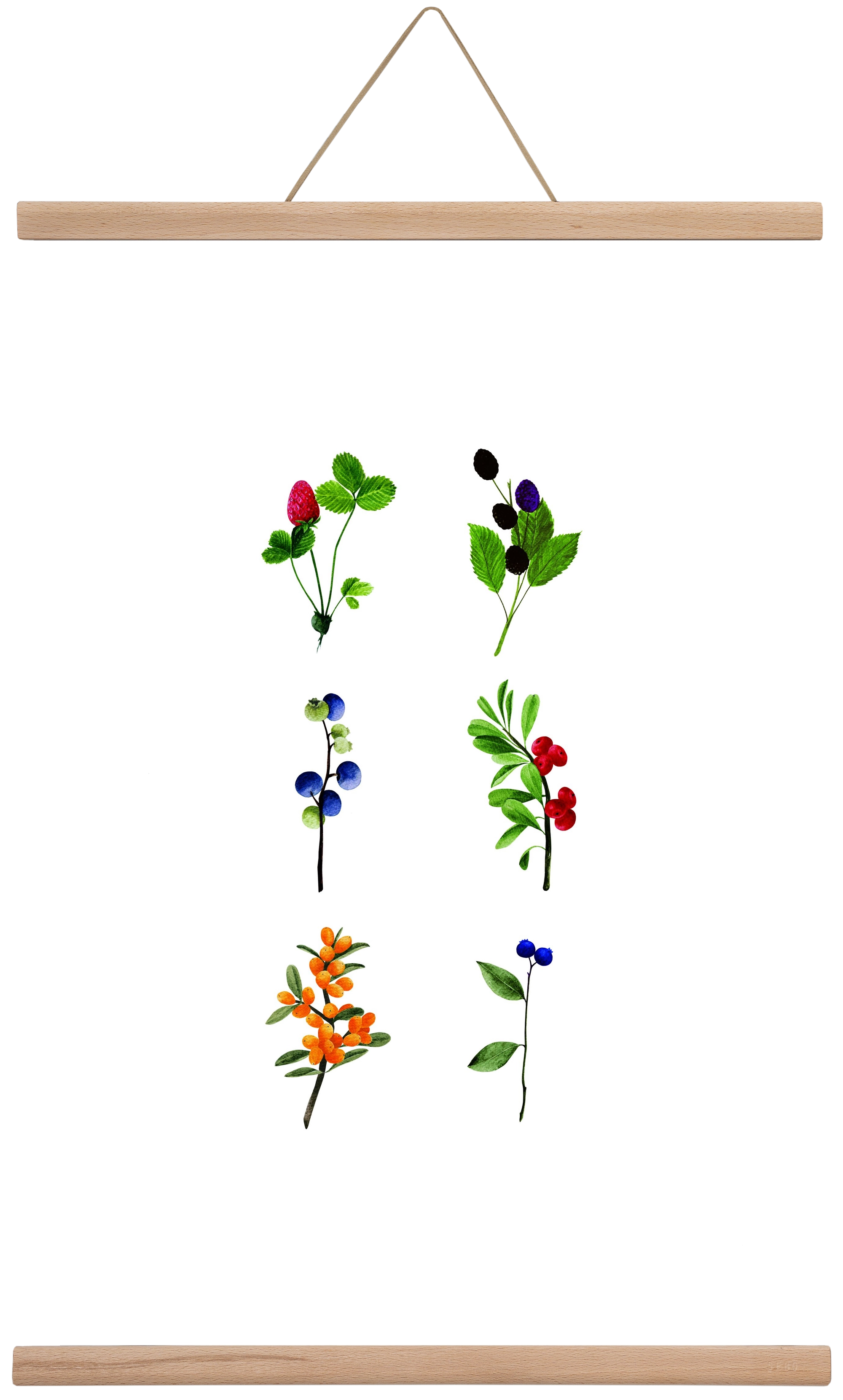 berries, 40x60 cm (40x60 cm), Tölgy akasztó