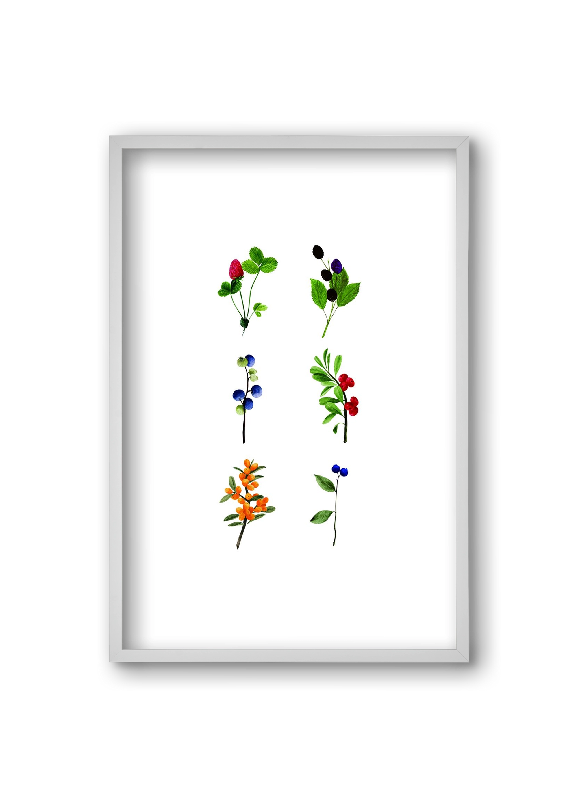 berries, 20x30 cm (20x30 cm), Fehér keret