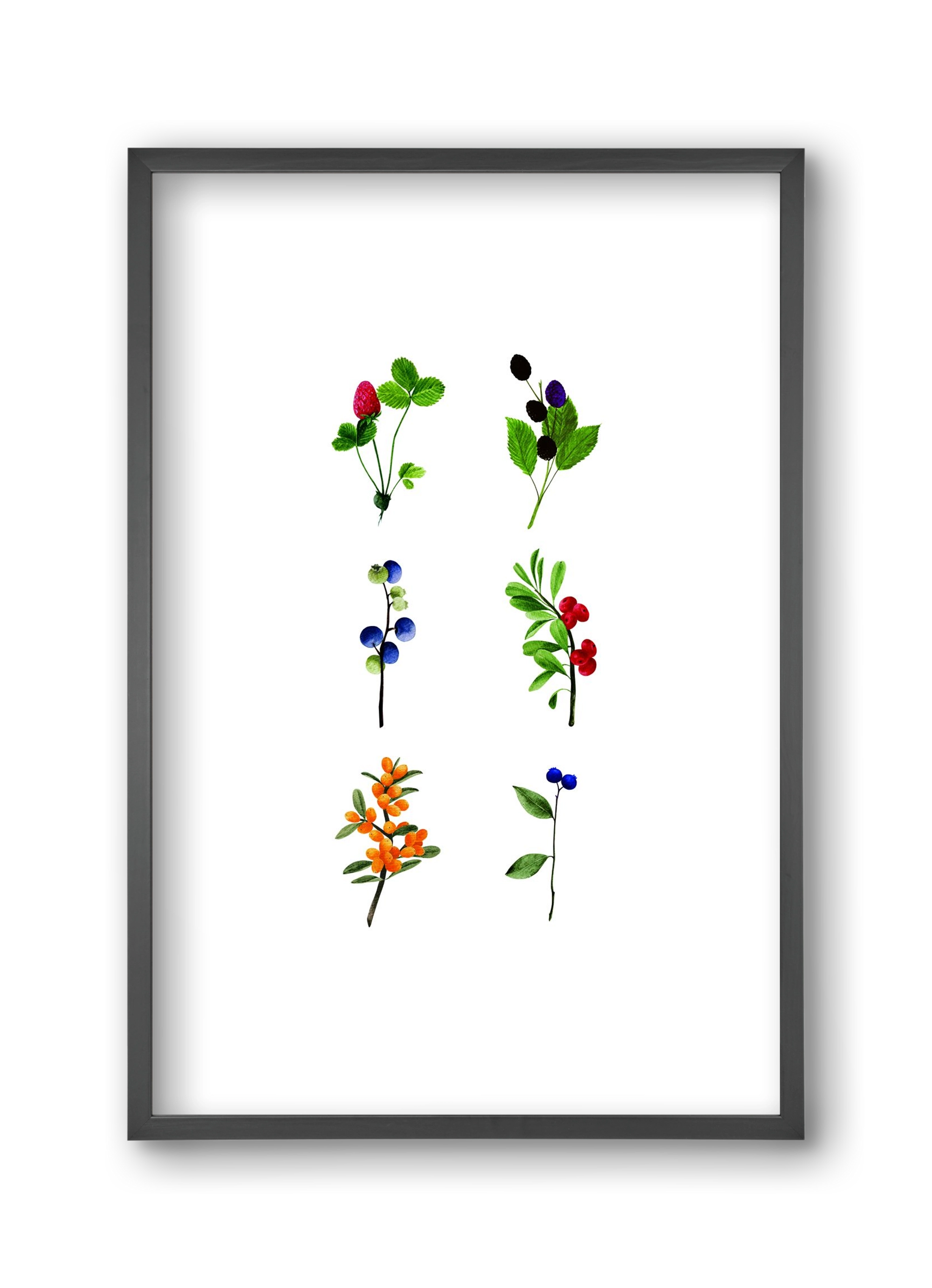 berries, 30x45 cm (30x45 cm), Fekete keret