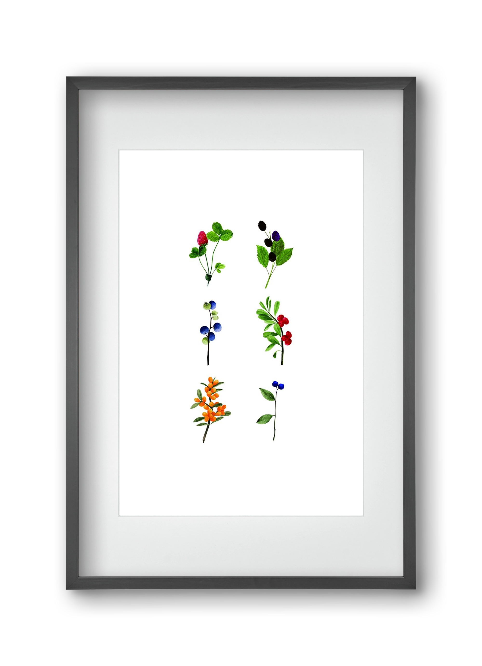 berries, 30x45 cm (20x30 cm), Fekete keret, paszpartuval