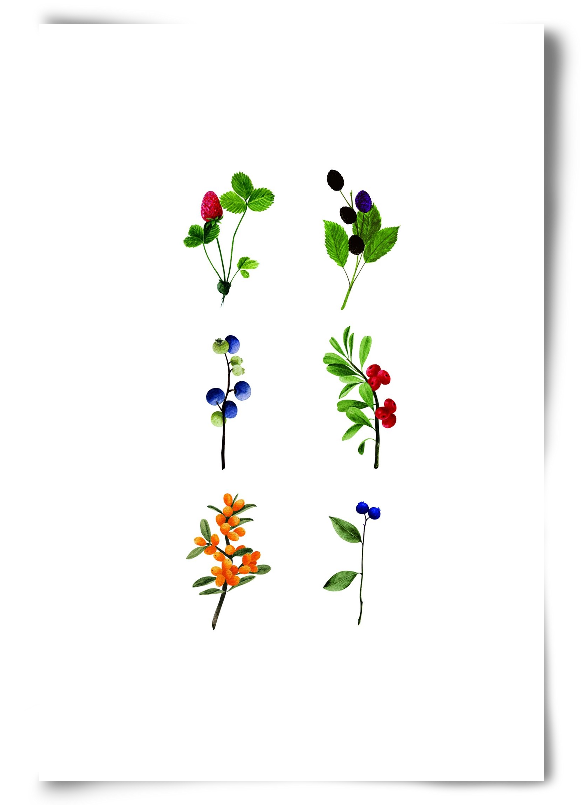 berries, 60x90 cm, Keret nélkül