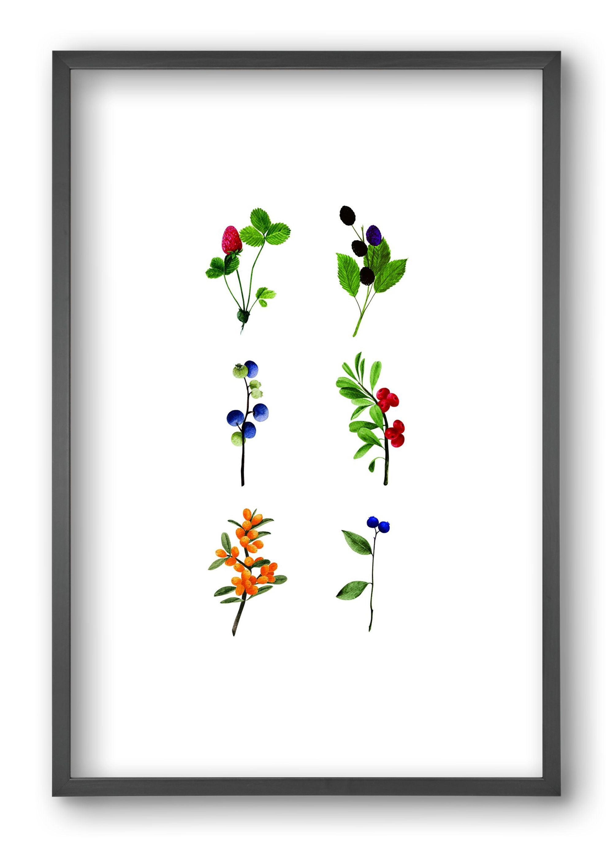 berries, 40x60 cm (40x60 cm), Fekete keret