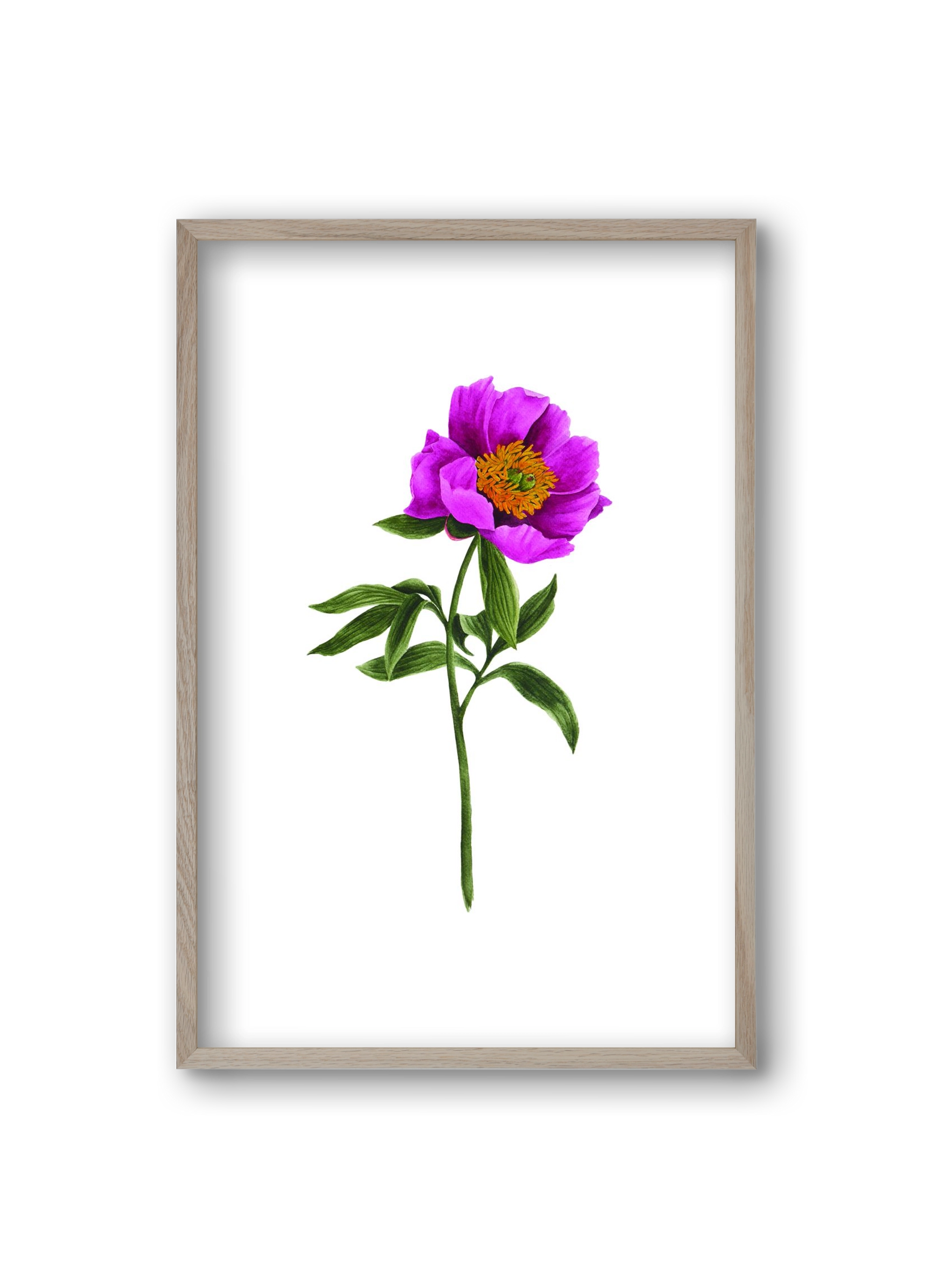 bánáti bazsarózsa, 20x30 cm (20x30 cm), Tölgy keret