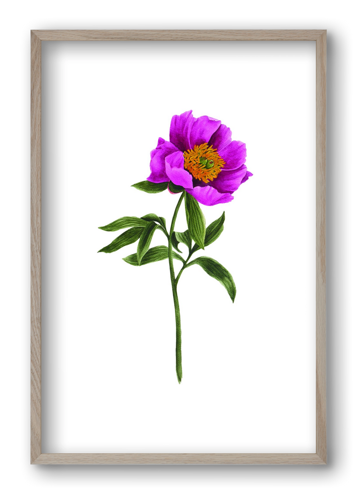 bánáti bazsarózsa, 40x60 cm (40x60 cm), Tölgy keret