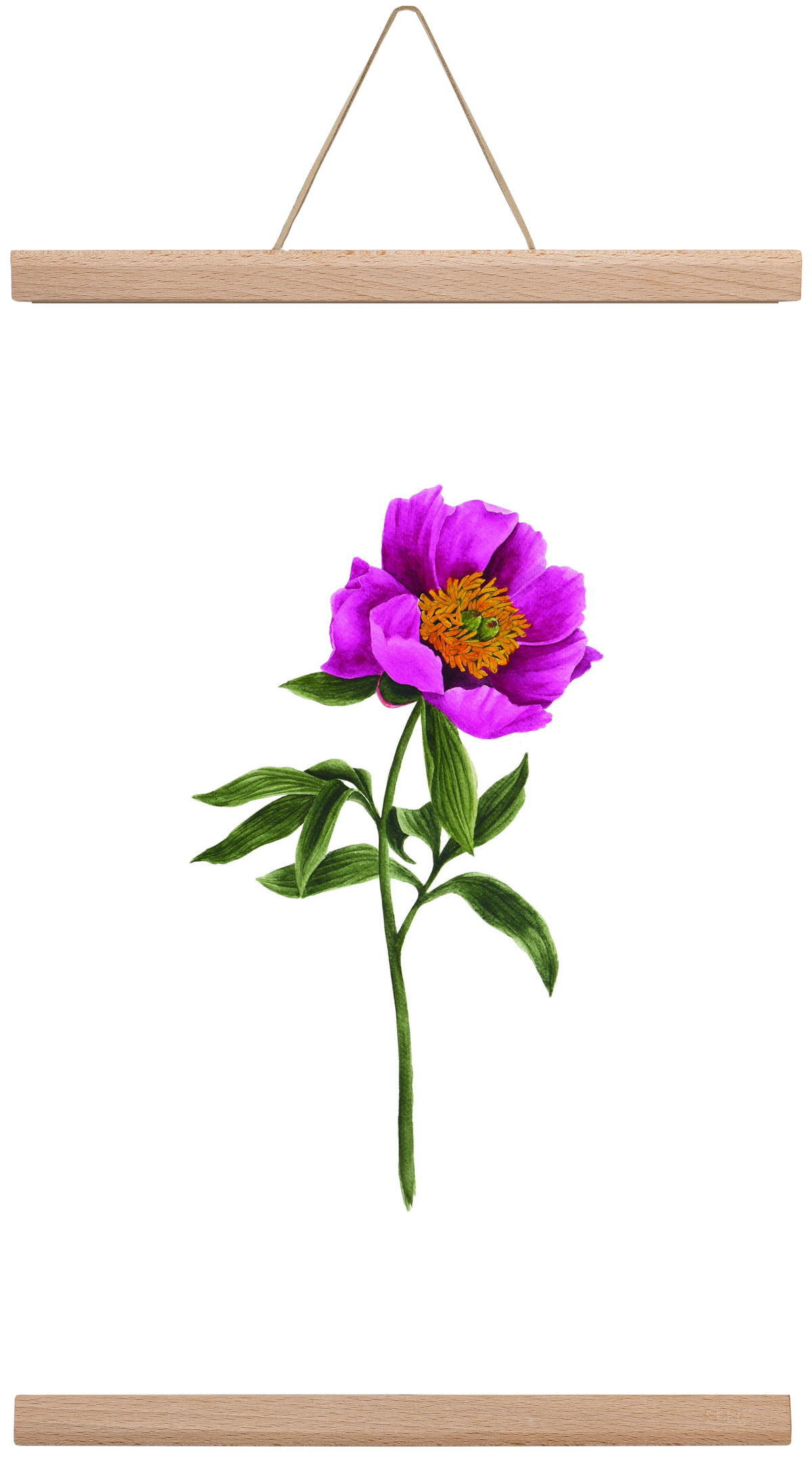 bánáti bazsarózsa, 30x45 cm (30x45 cm), Tölgy akasztó
