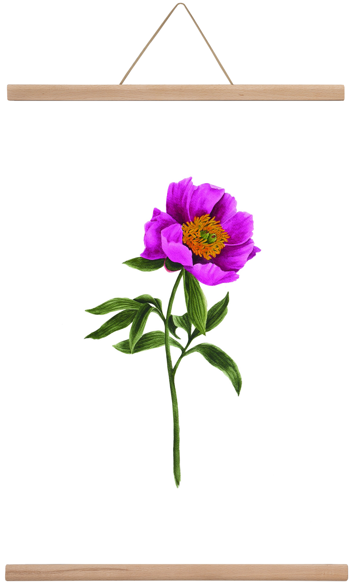 bánáti bazsarózsa, 40x60 cm (40x60 cm), Tölgy akasztó