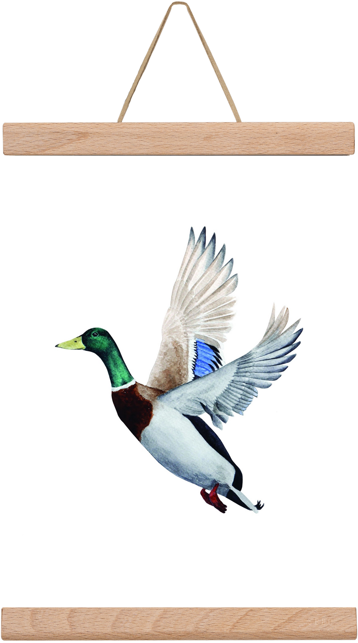 duck, 20x30 cm (20x30 cm), Tölgy akasztó