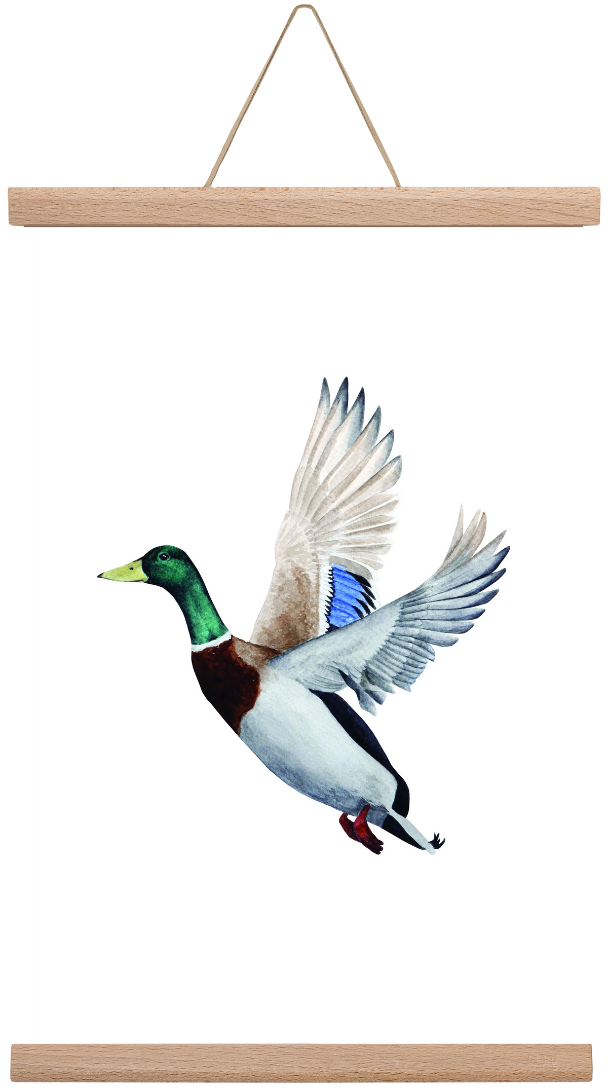 duck, 30x45 cm (30x45 cm), Tölgy akasztó